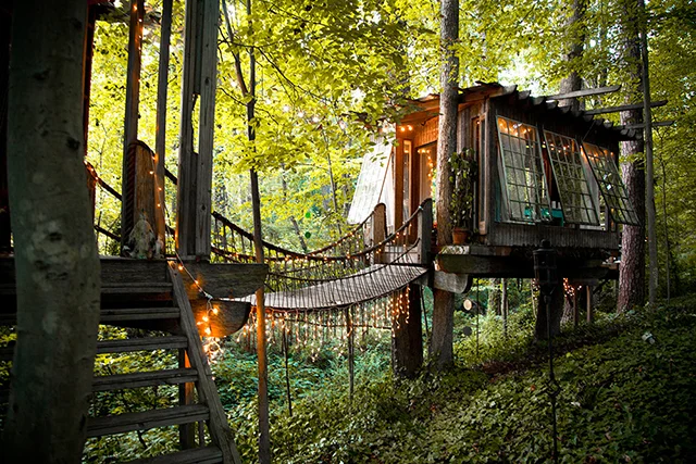 treehouse3.jpg