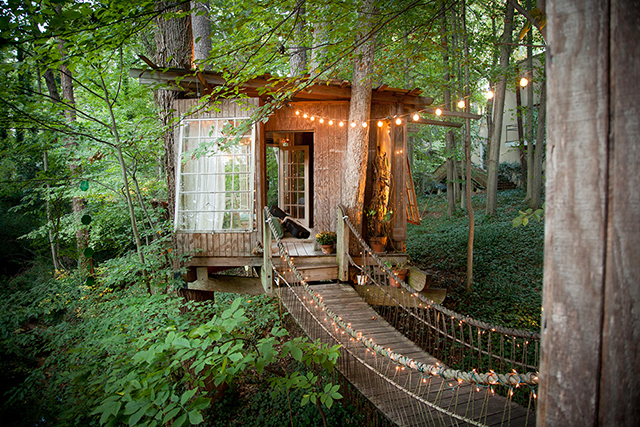 treehouse4.jpg