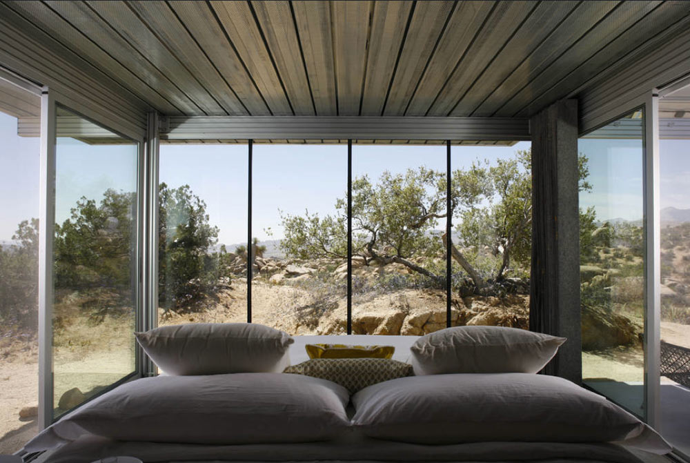 TPH_JoshuaTree07.jpg