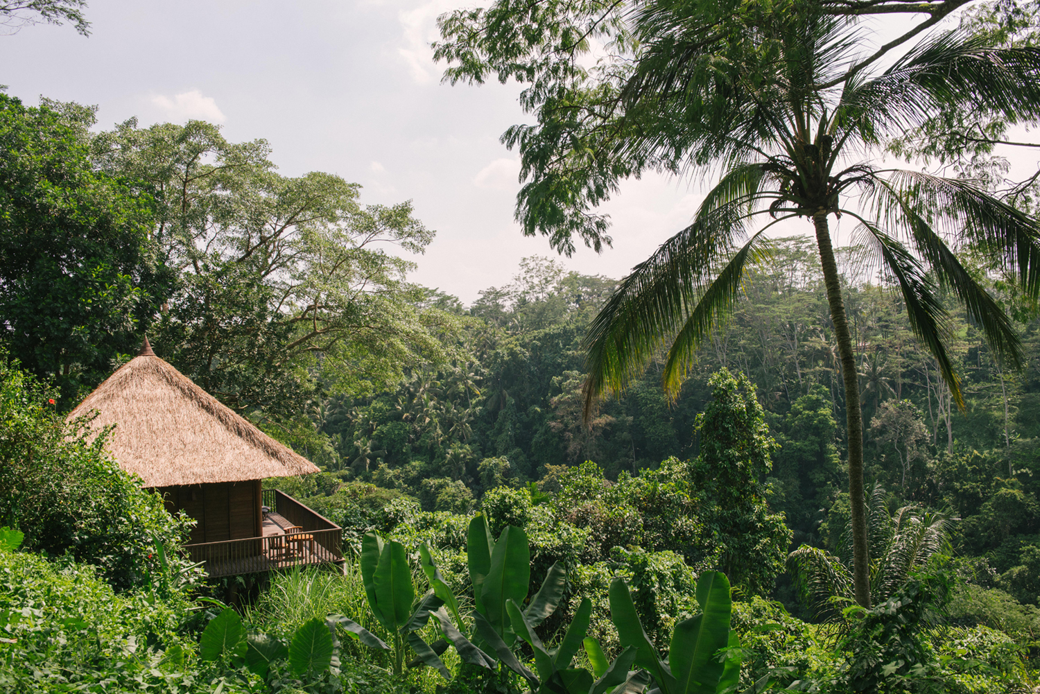 ThePerfectHideaway_AlilaUbud22.jpg