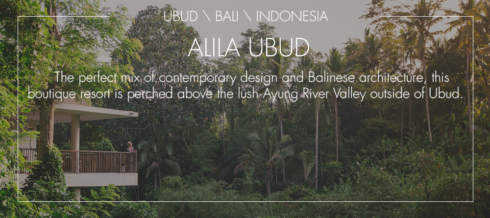 ALILAUBUD.jpg