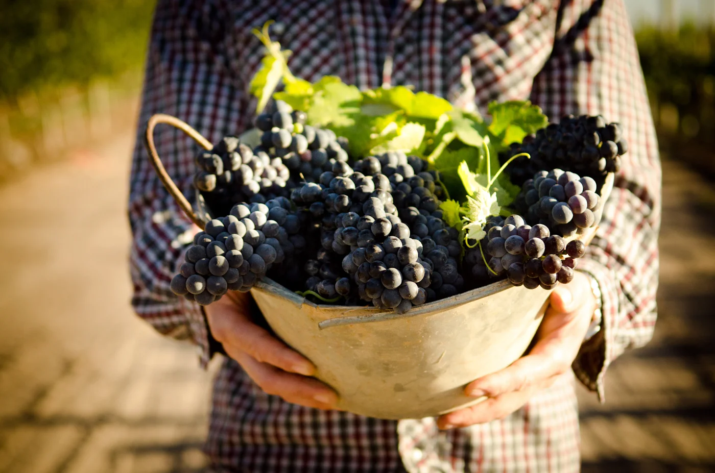 ThePerfectHideaway_La Morada03.jpg