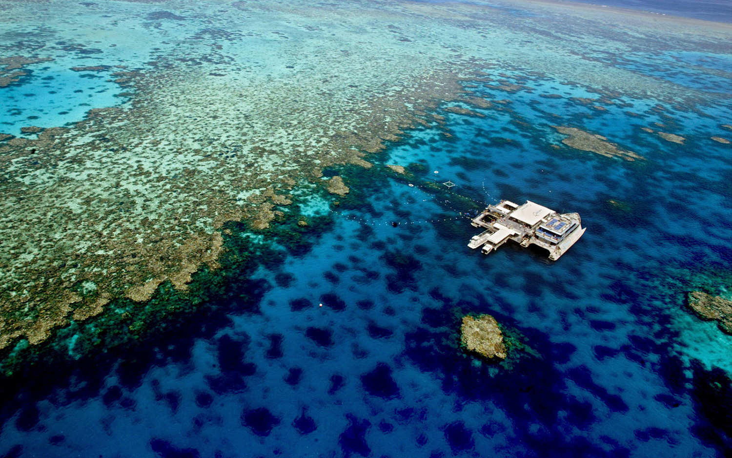 photo: The Great Barrier Reef