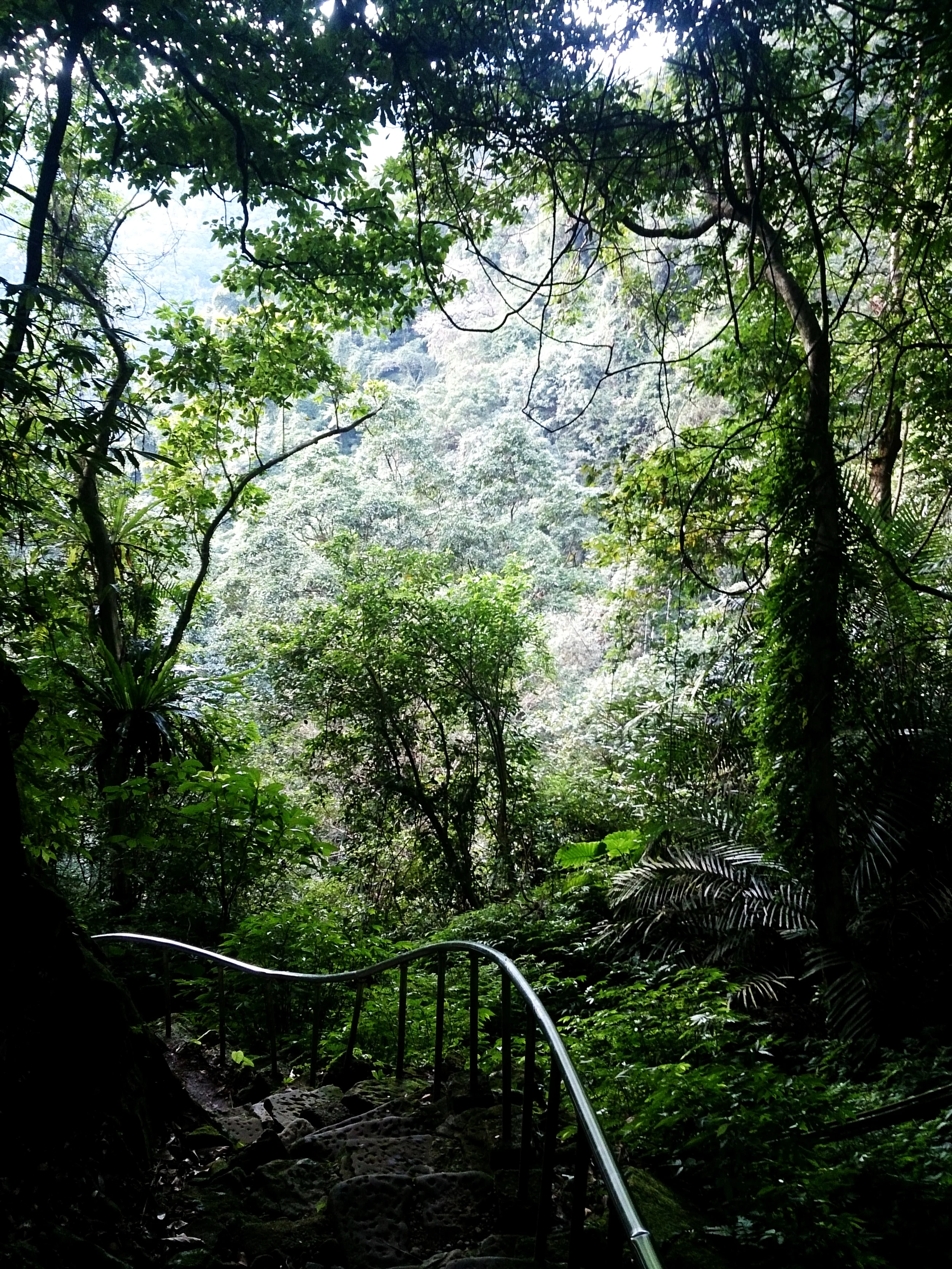 Stairs down to the temple.