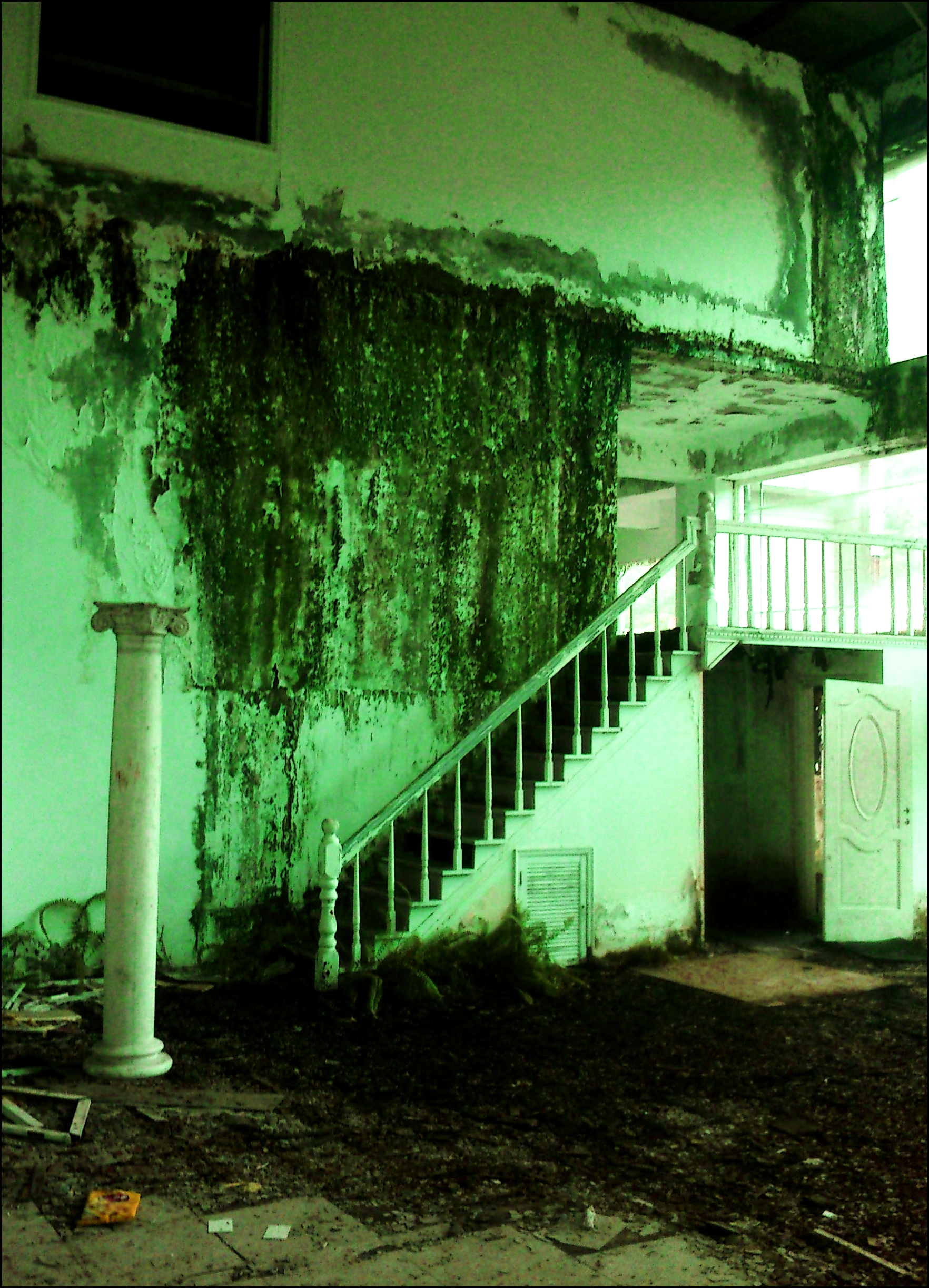 The windows gave this room a strange green tint