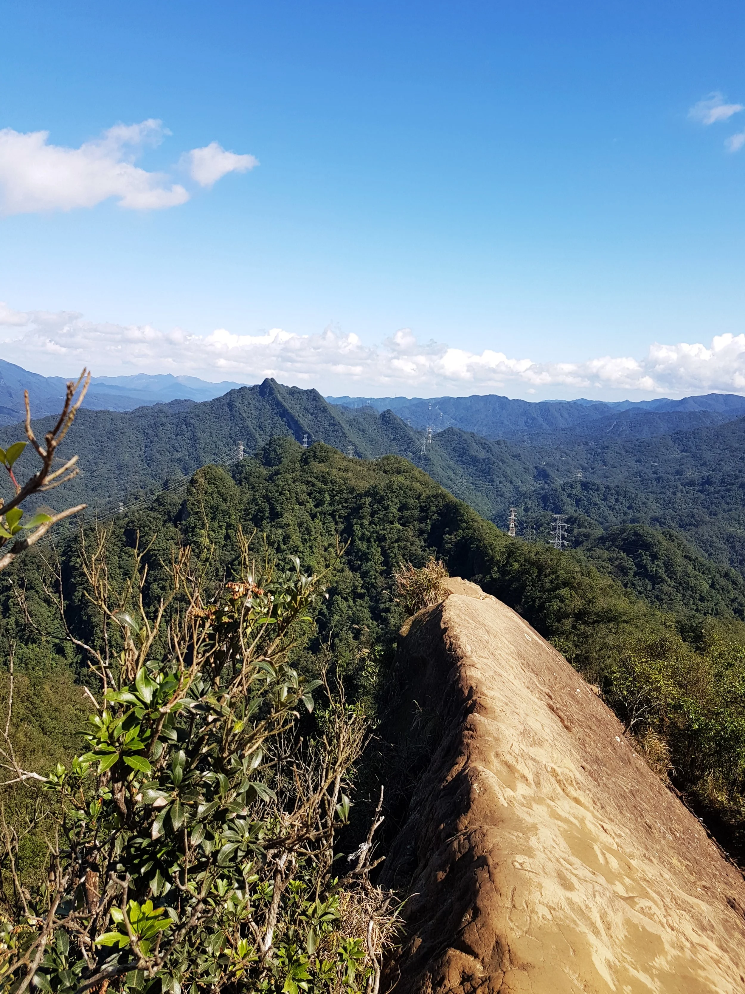 Looking towards Pingxi. The tall ridge with the twin-pronged outcrop is Fengtou Ridge. It's an extension of the same ridge separated by a valley. From what I've read it's much wilder and less safe than Huangdidian, with none of the guard rails etc. I will probably try it one day though the thought of the narrow open ridge sections makes me a little nervous. 