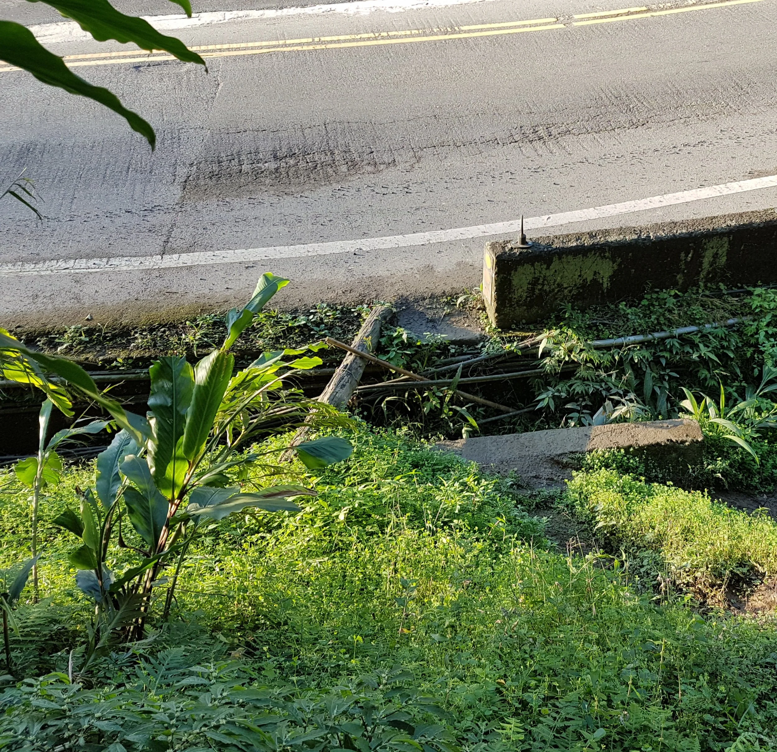 The fairly hard to spot trail entrance
