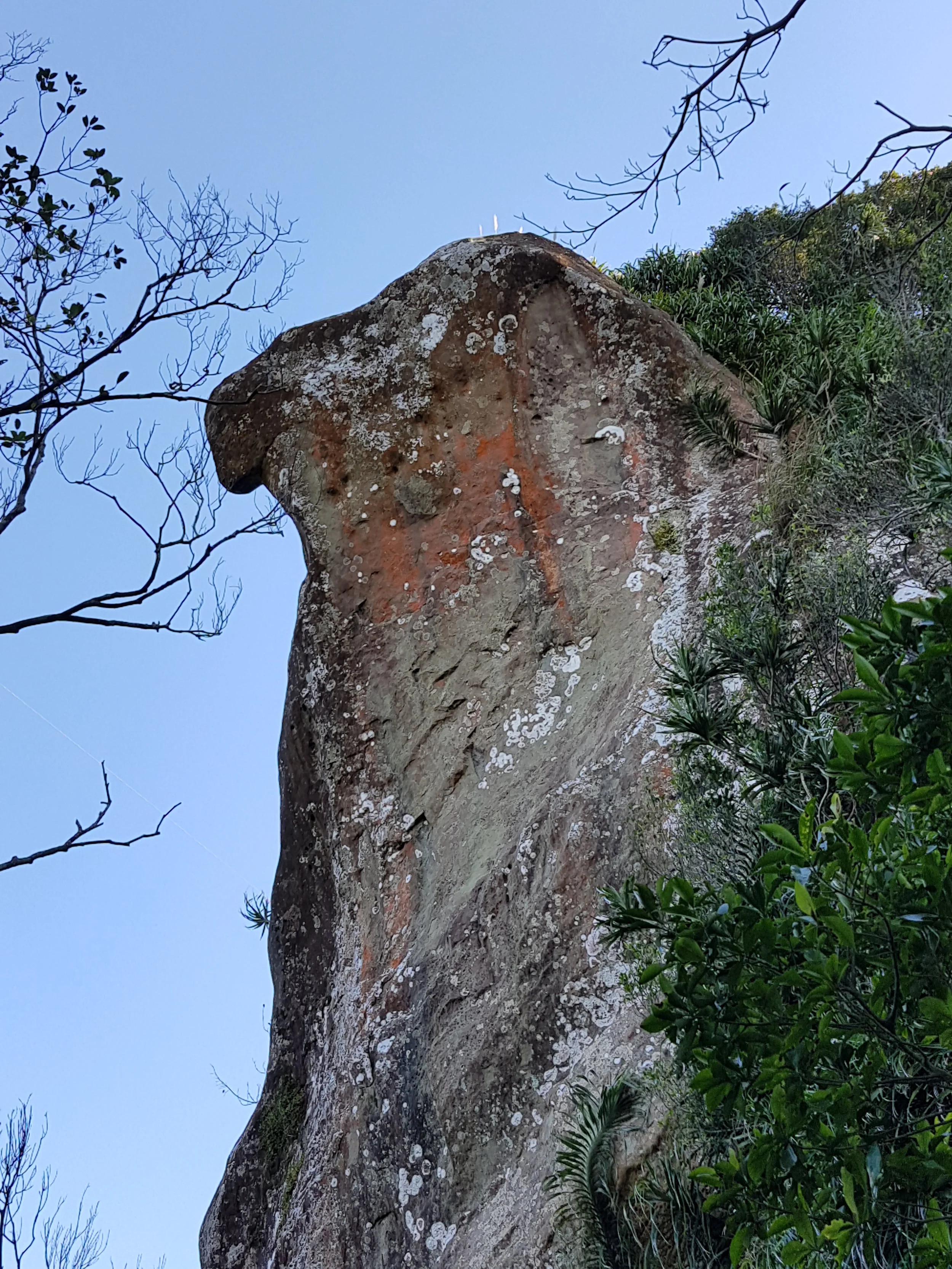 20170128_150248.jpg