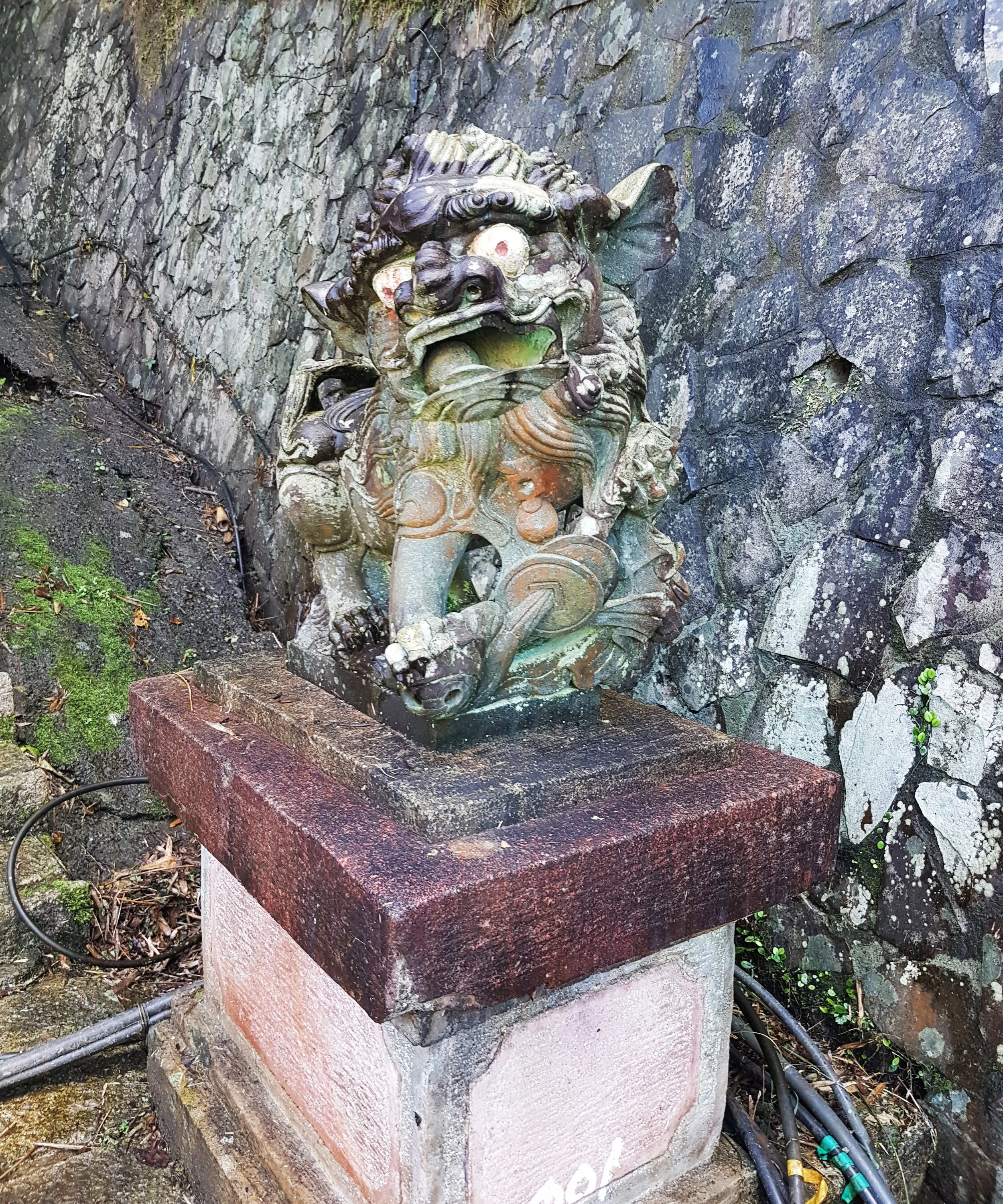 20170128_101320.jpg