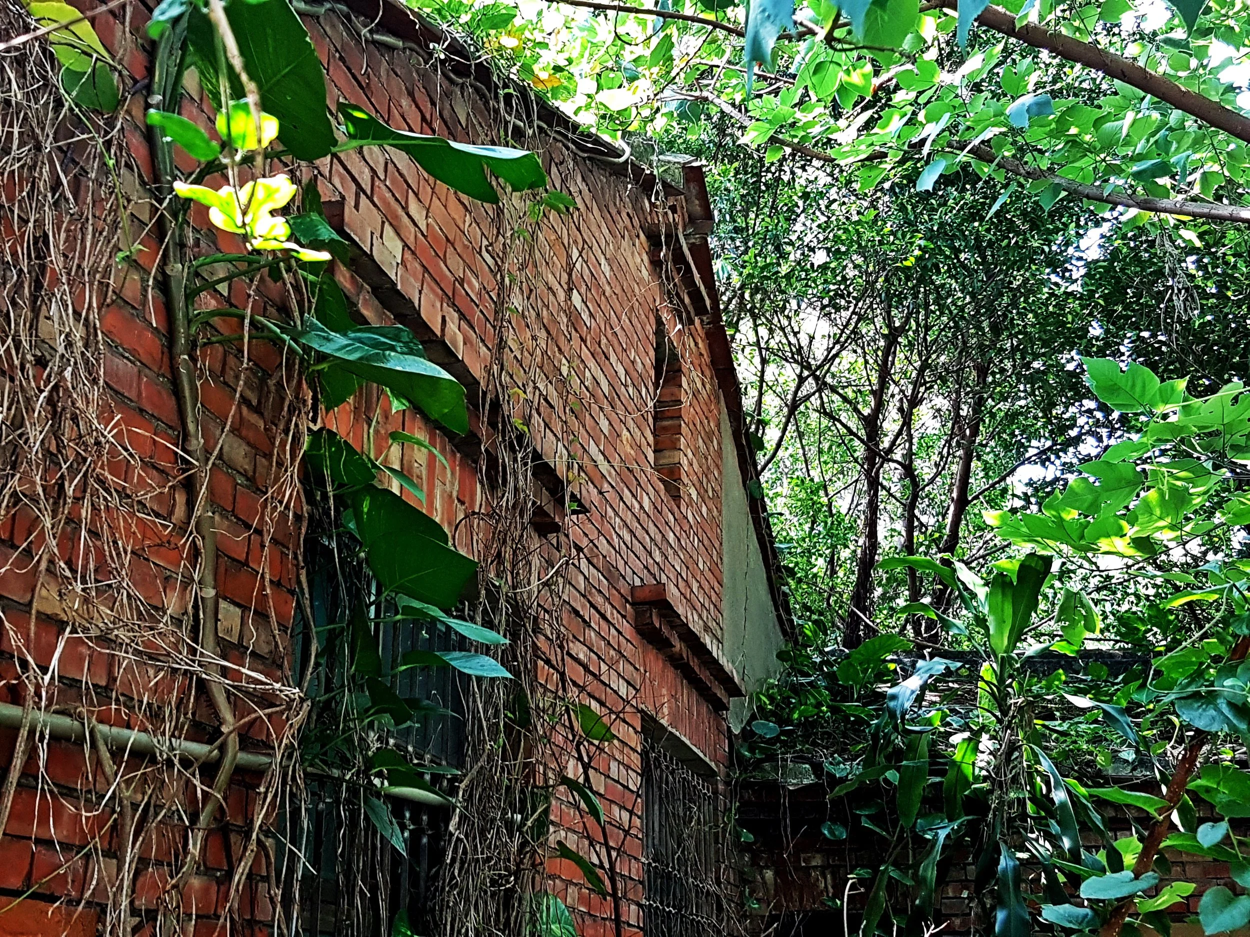 Another fragment of old Luzhou