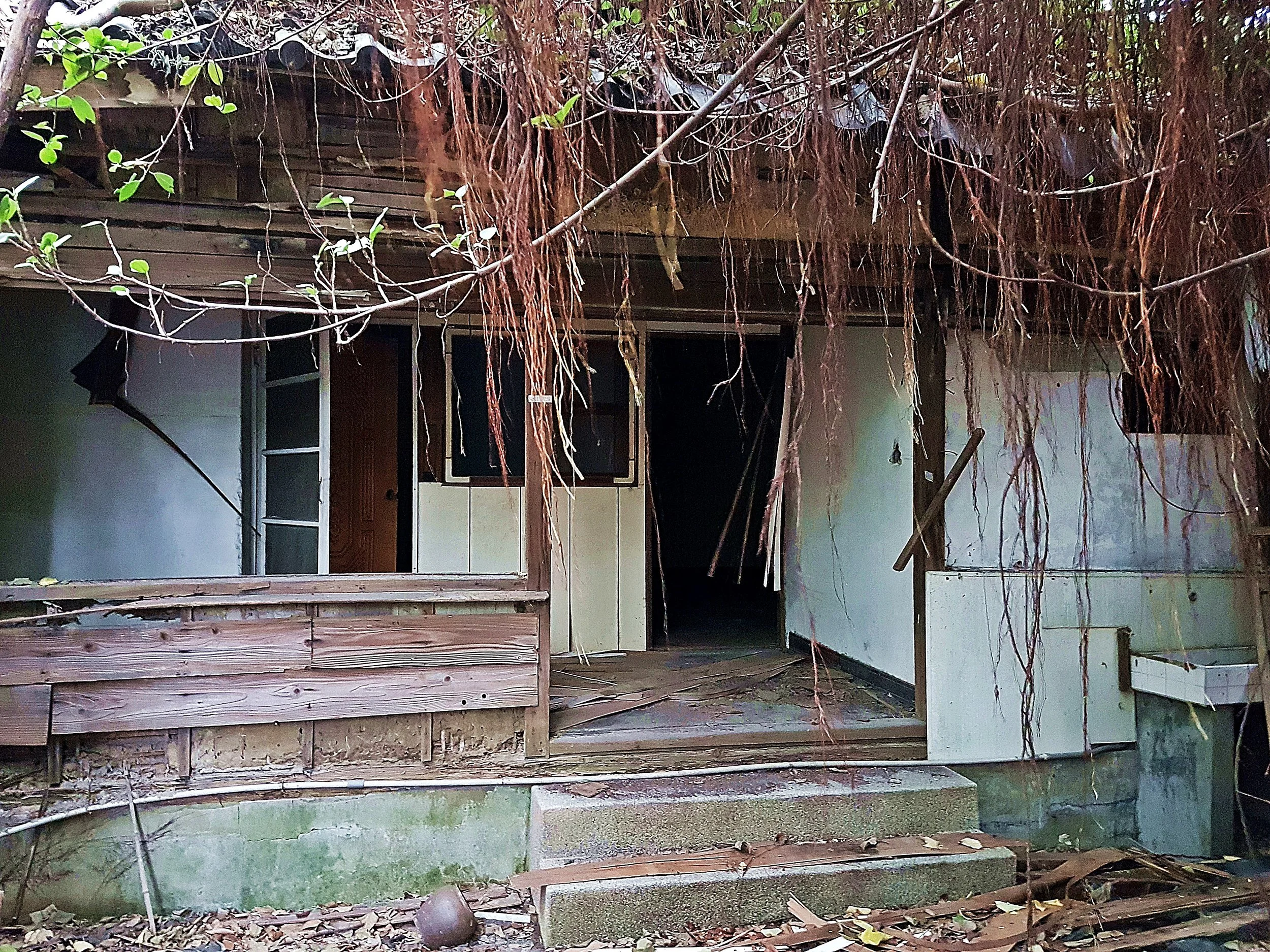20171118_154854.jpg