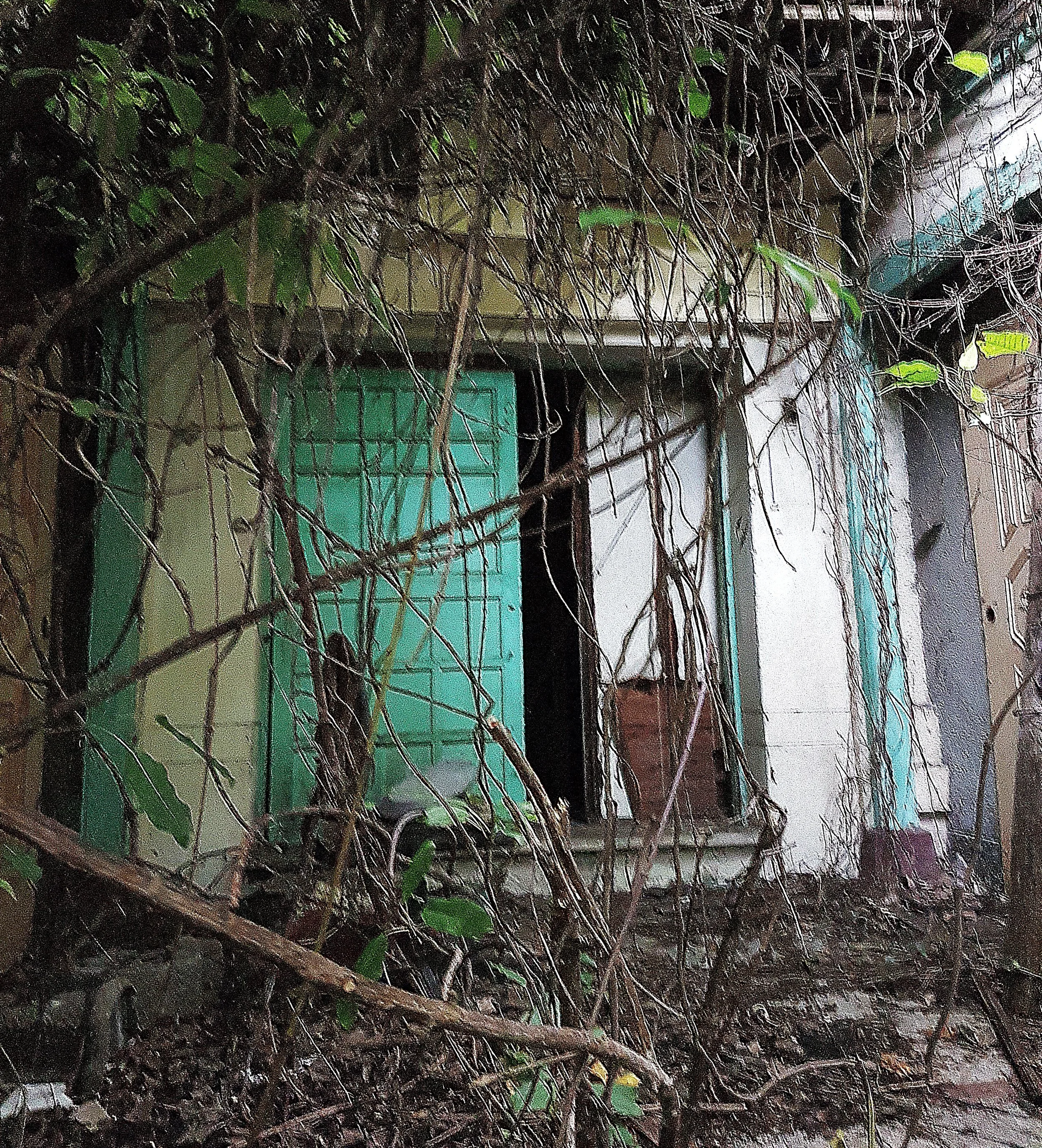 The overgrown front door and a calendar from 1999.
