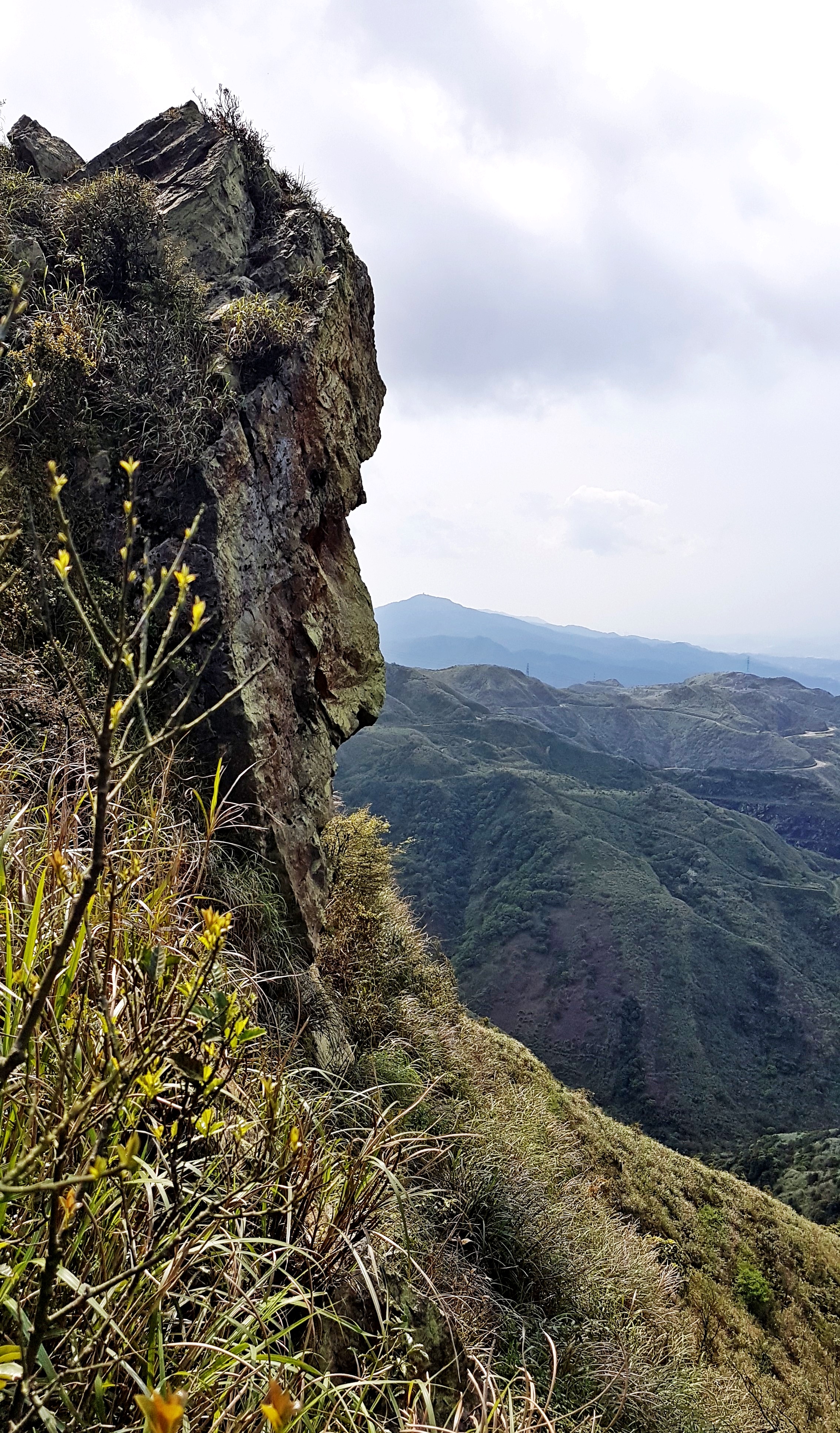 20180314_132126.jpg