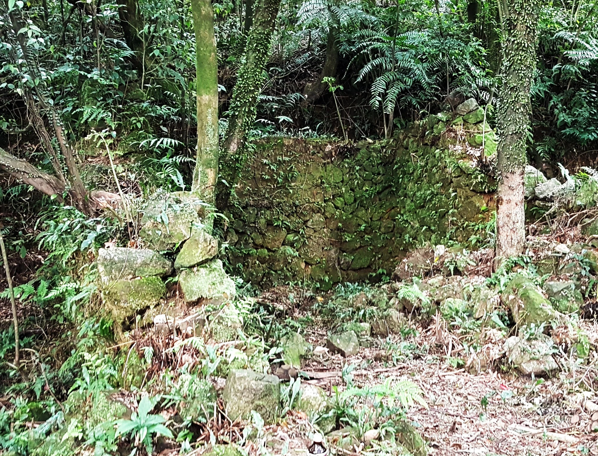 The ganzaidian and a typical trail stretch