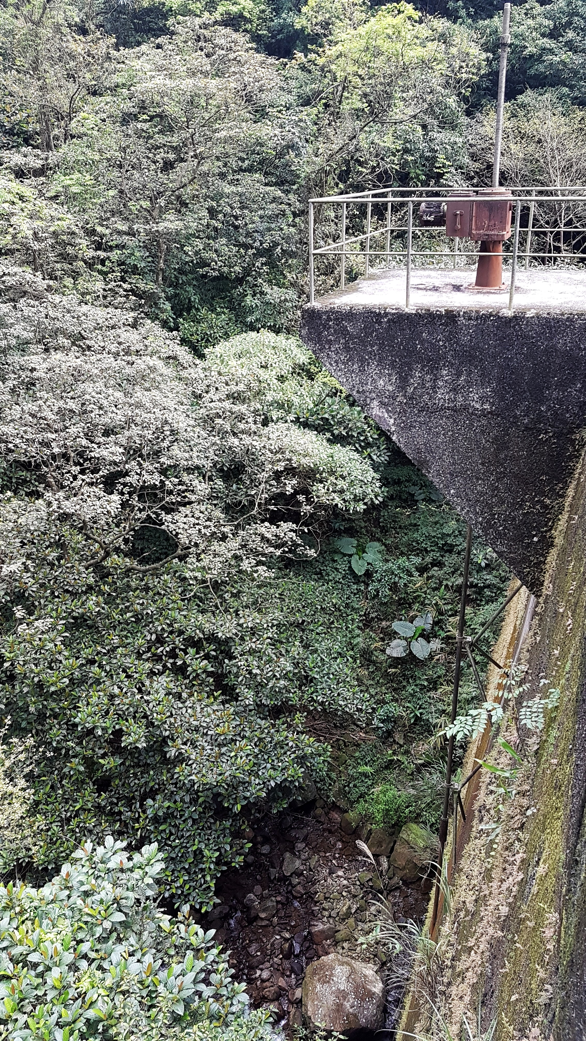 20180326_150947.jpg