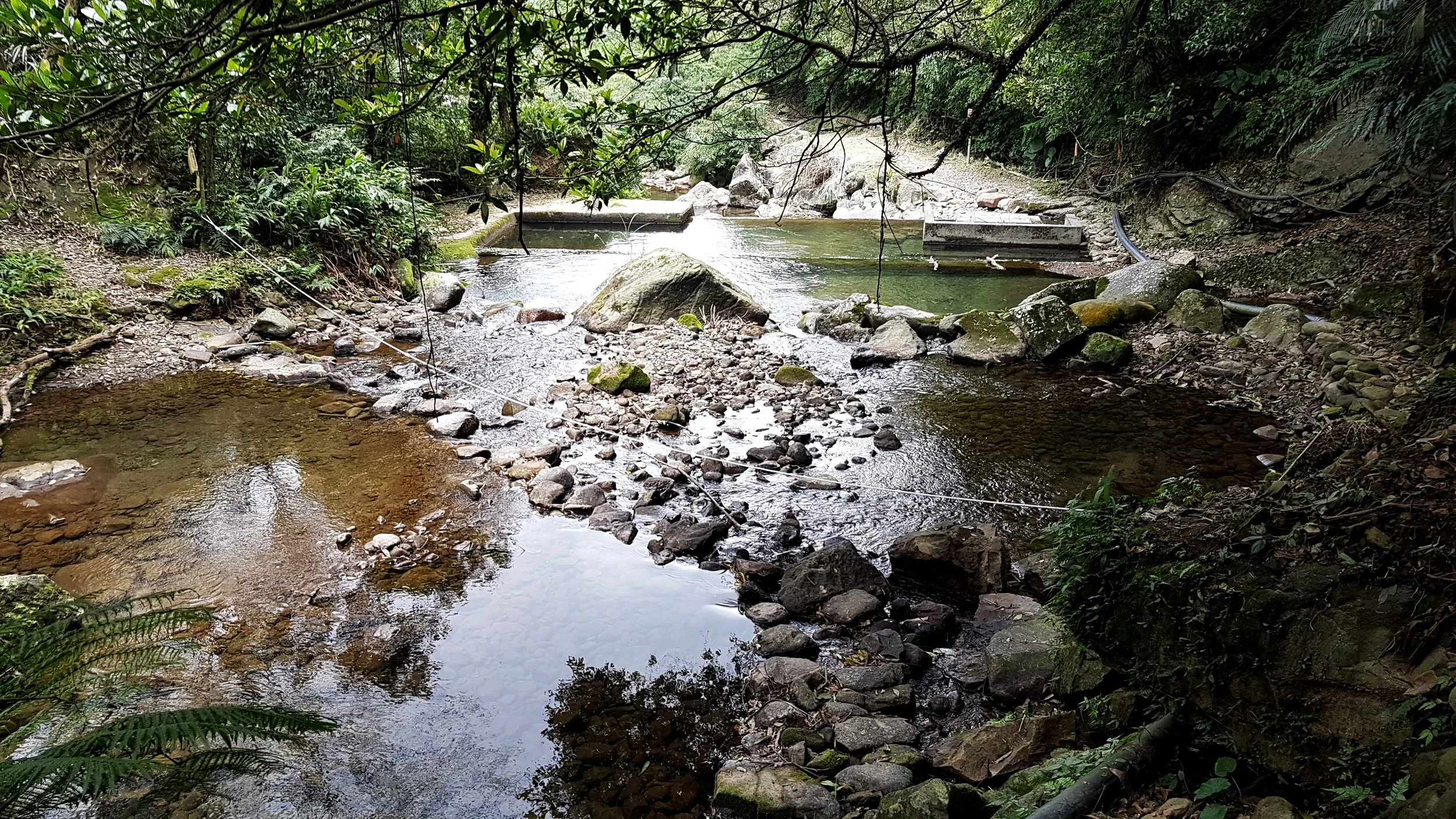 Don't cross these stepping stones