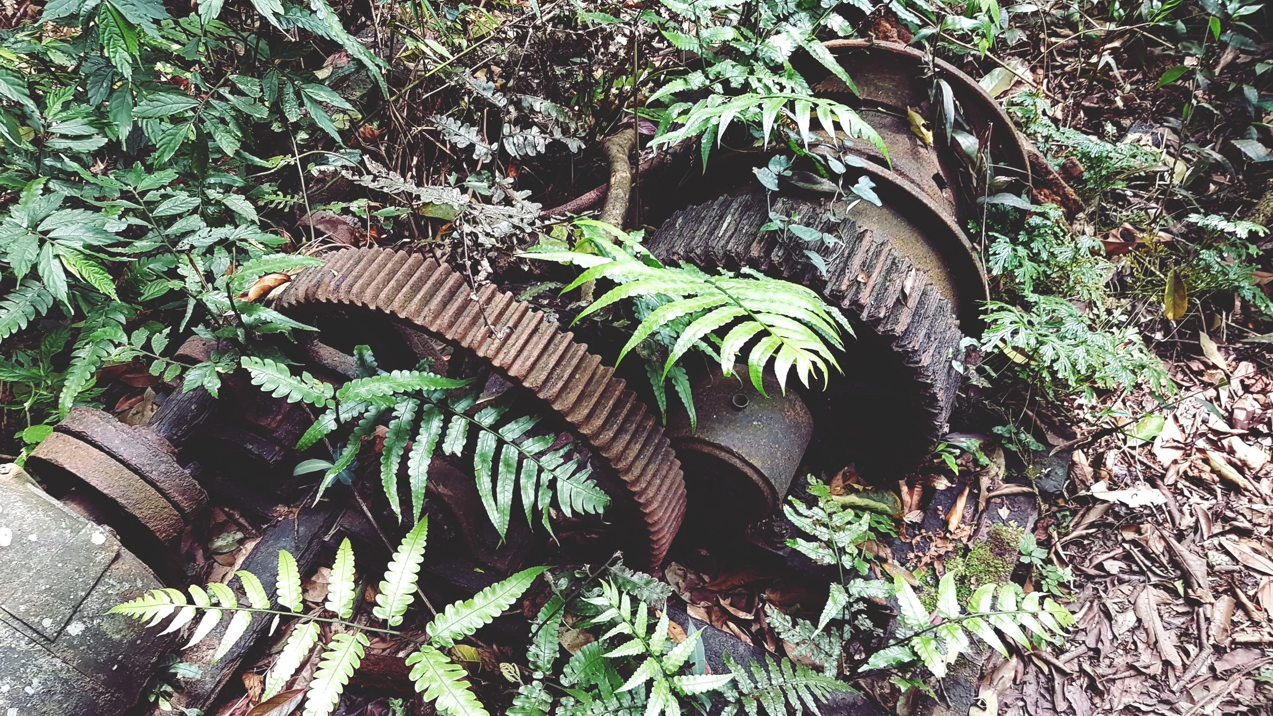 20180401_130018.jpg