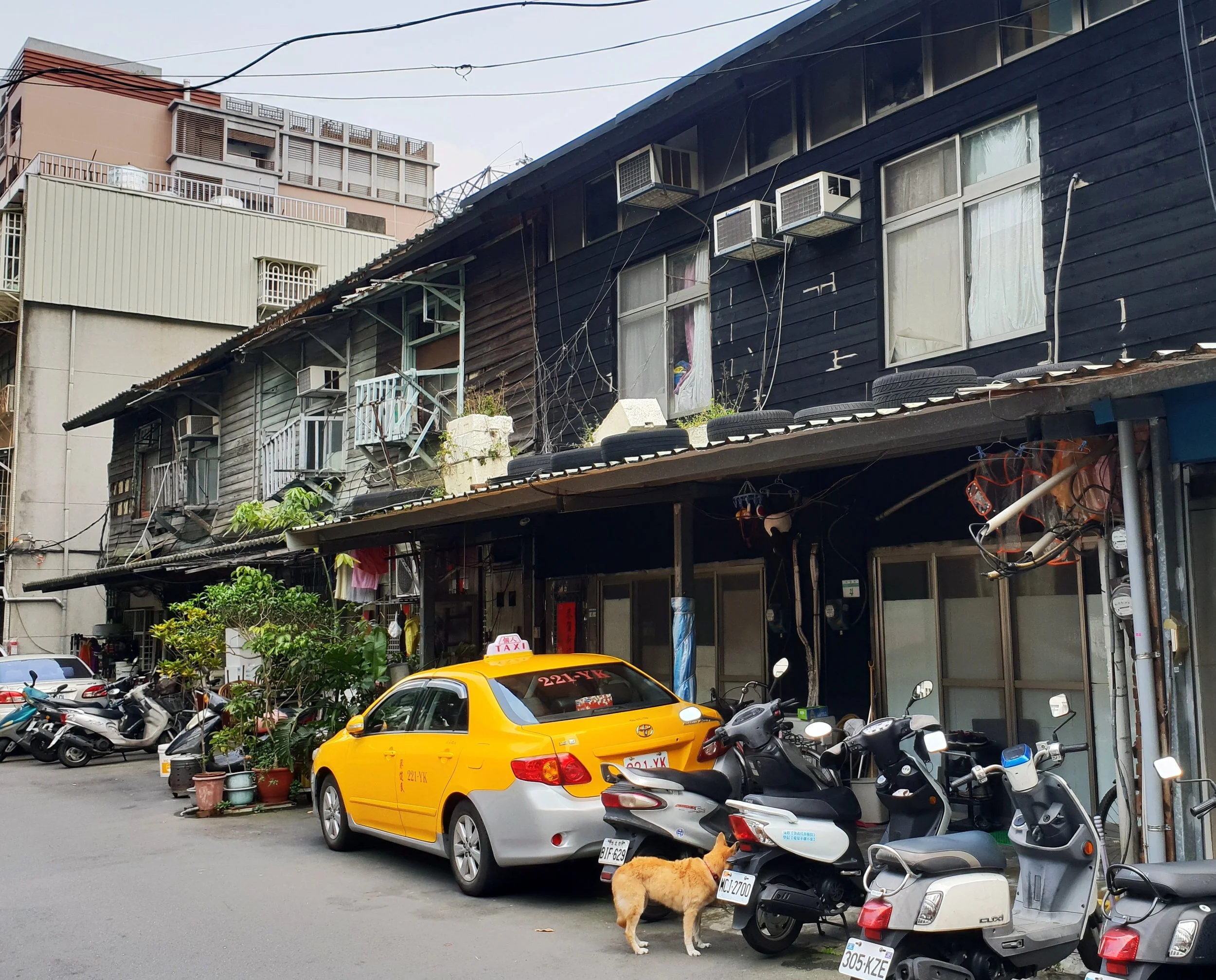 20180501_140102.jpg