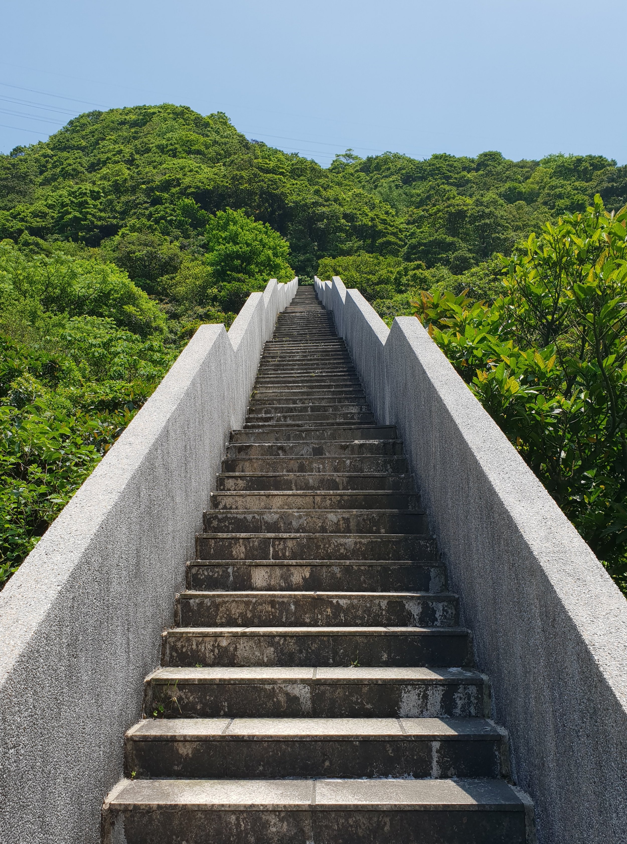 20180423_113430.jpg