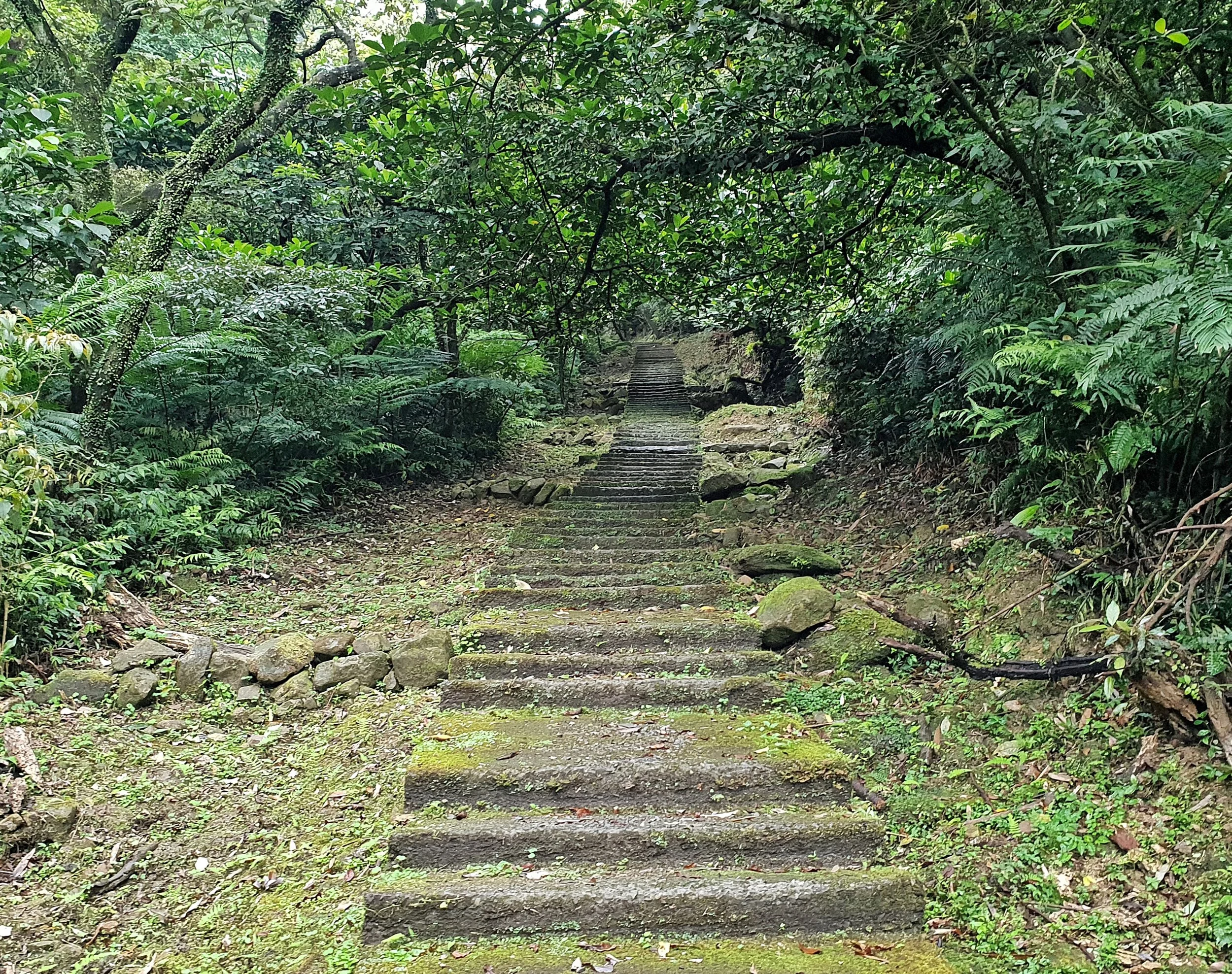 Typical trail section and a very long worm