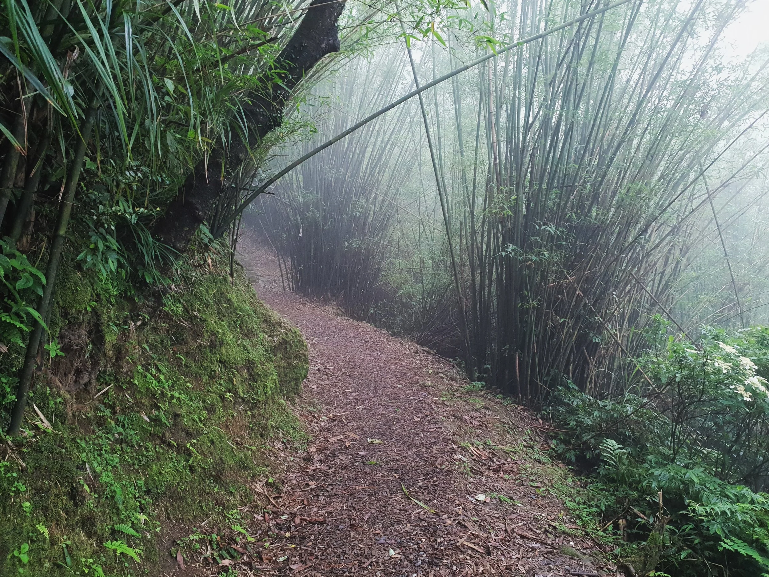 20180503_134424.jpg