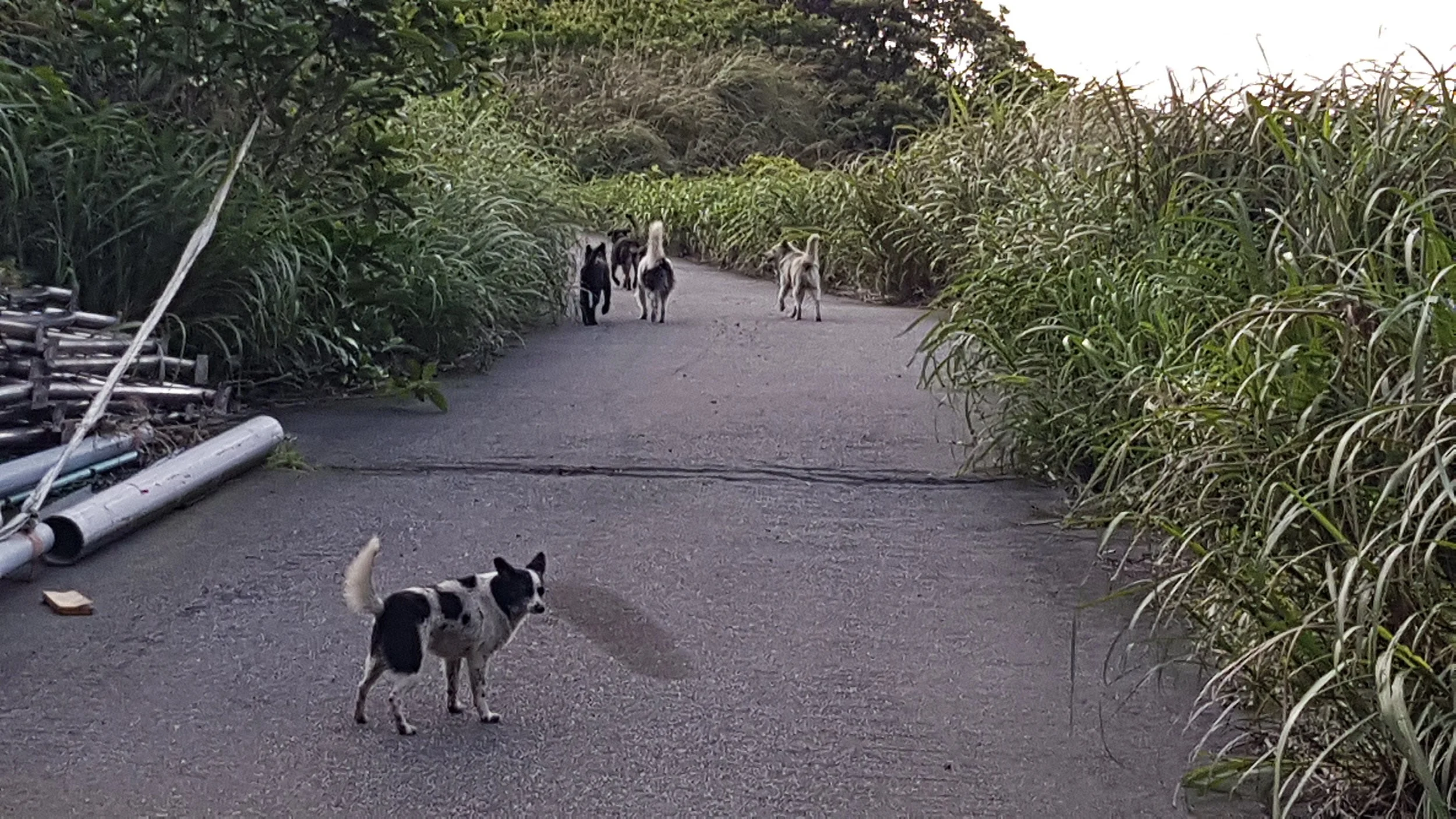 20180401_163649.jpg