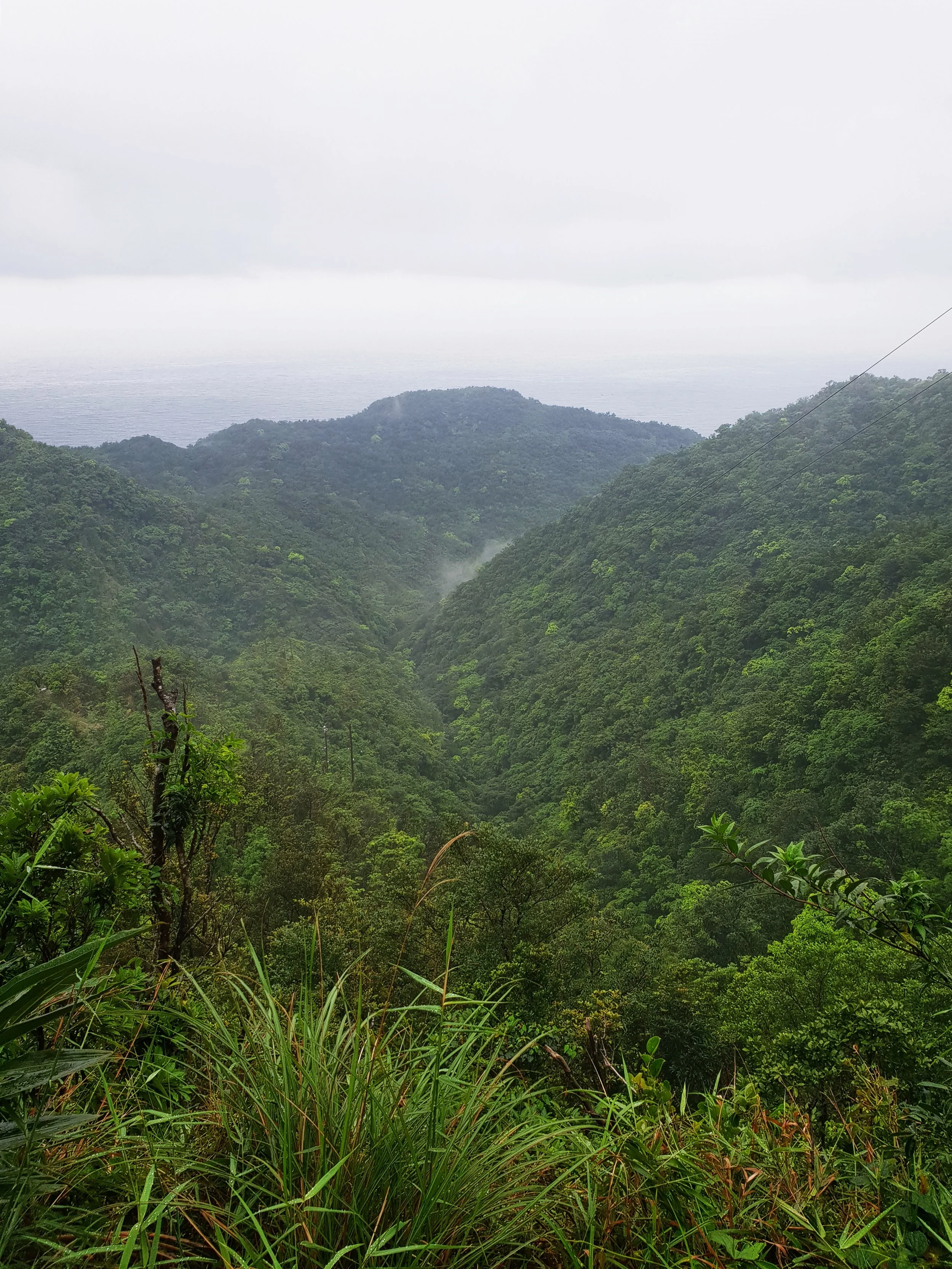 Cloud wisps in the valley