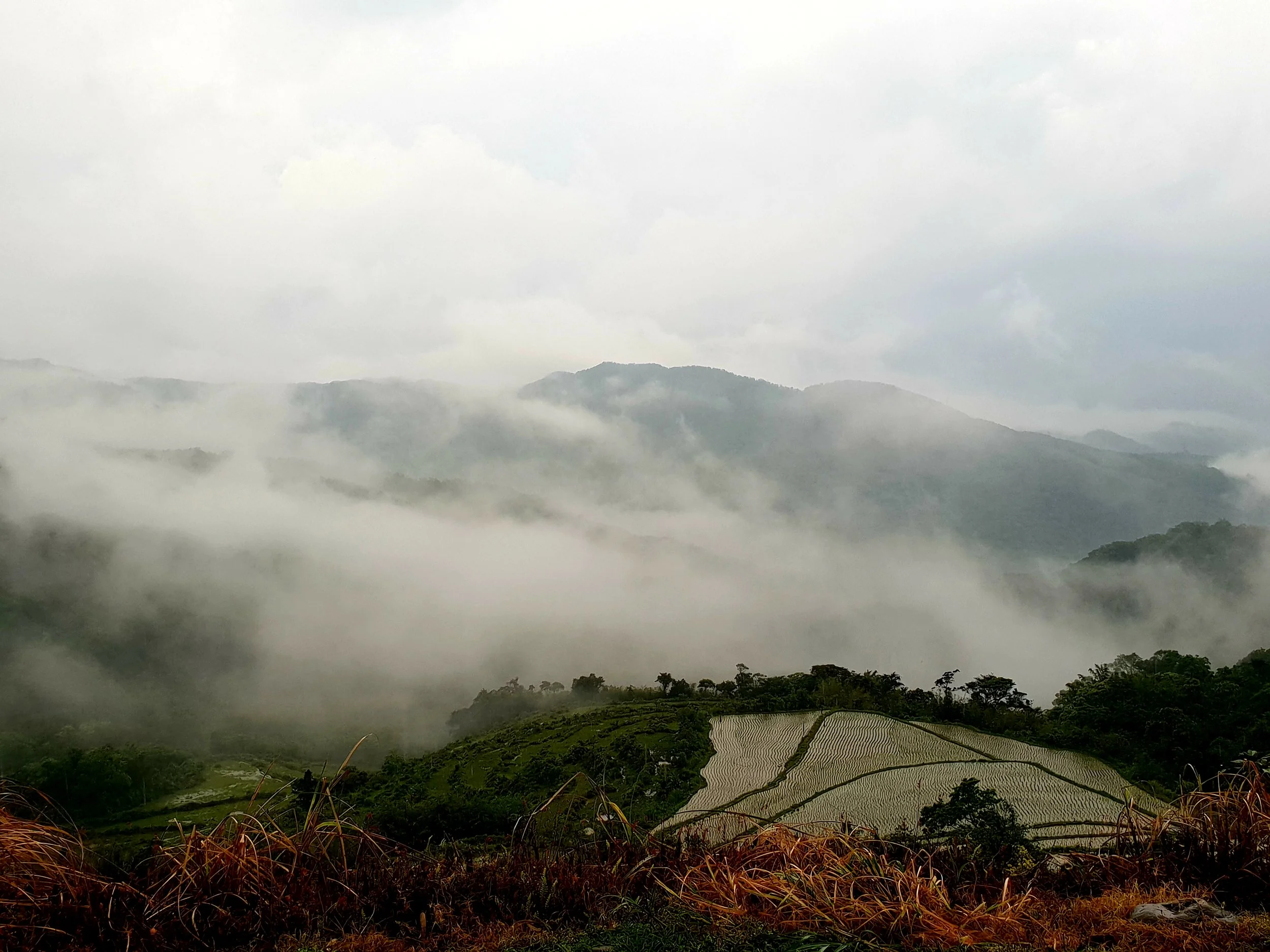 Storms clearing around the rice paddies