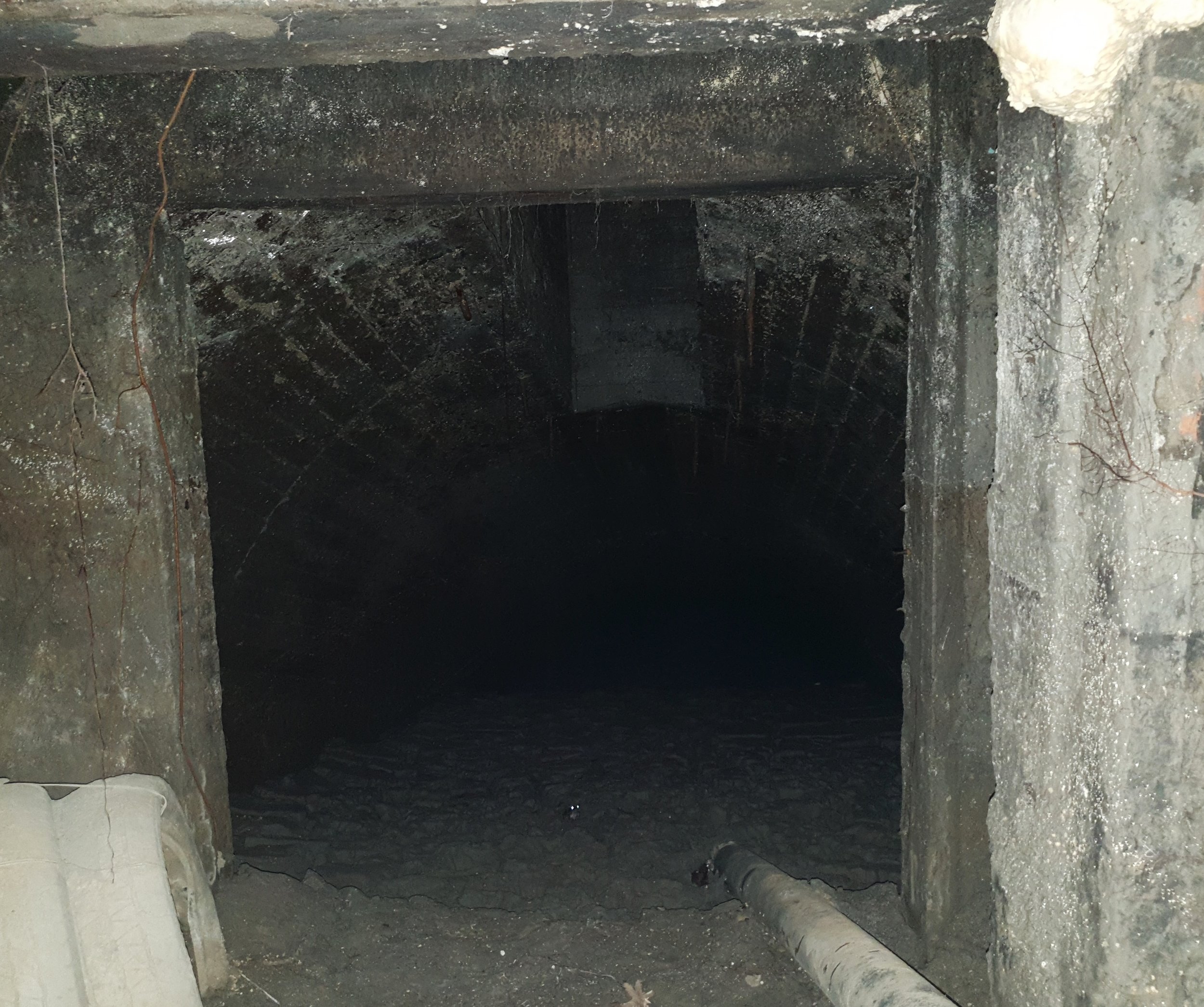 The brick tunnel and a small mine office. The tunnel was damp. You can see a small frog with bright eyes from the camera flash.