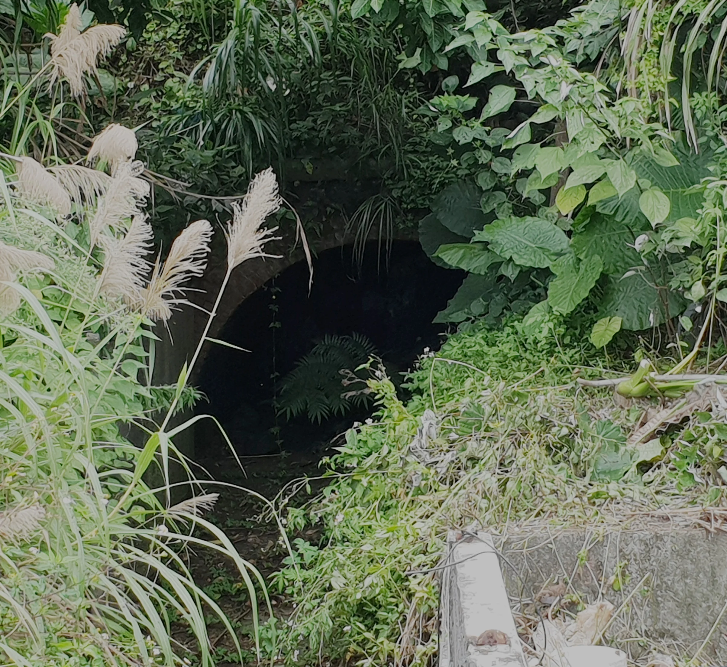 20180613_155558.jpg