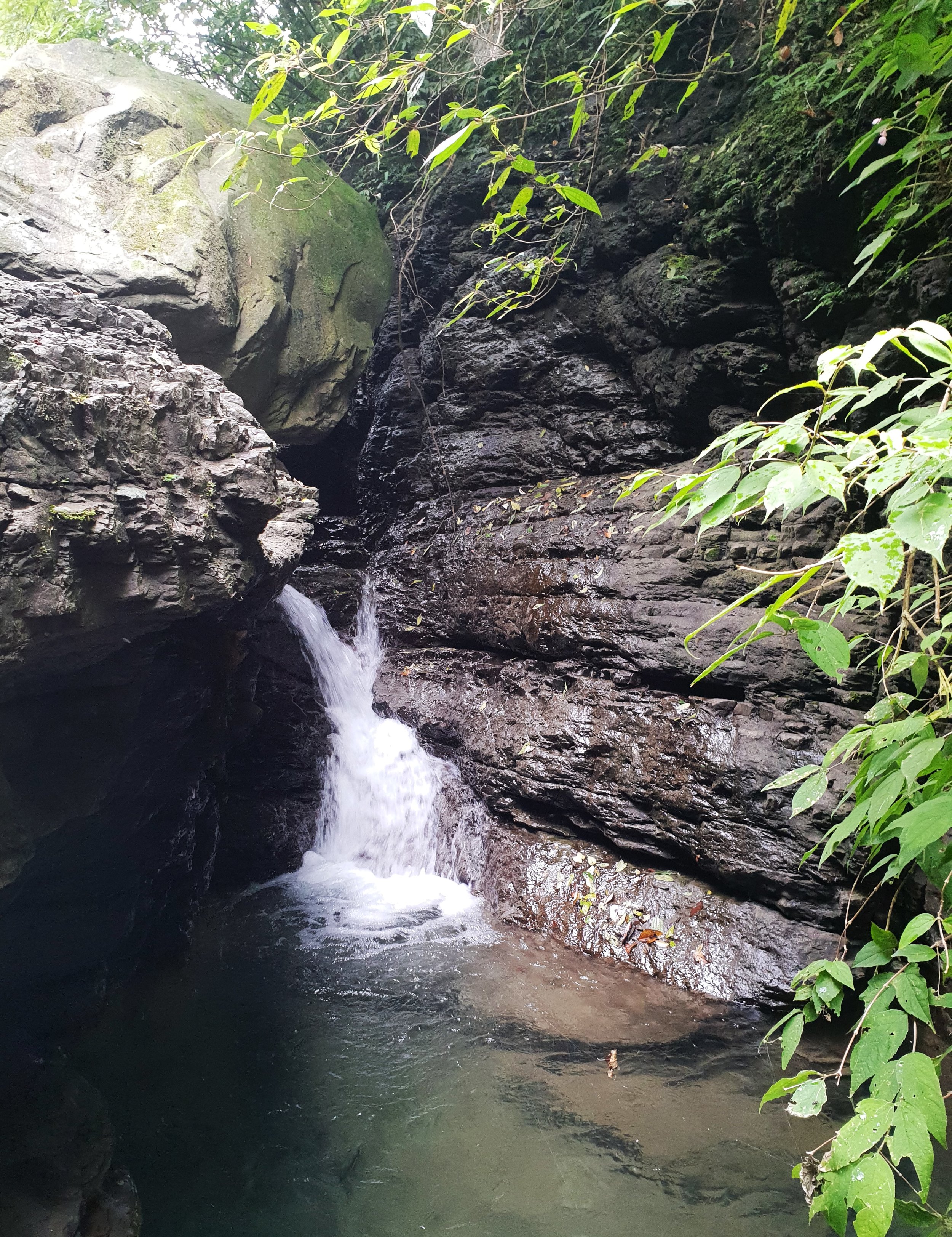 20180705_120839.jpg