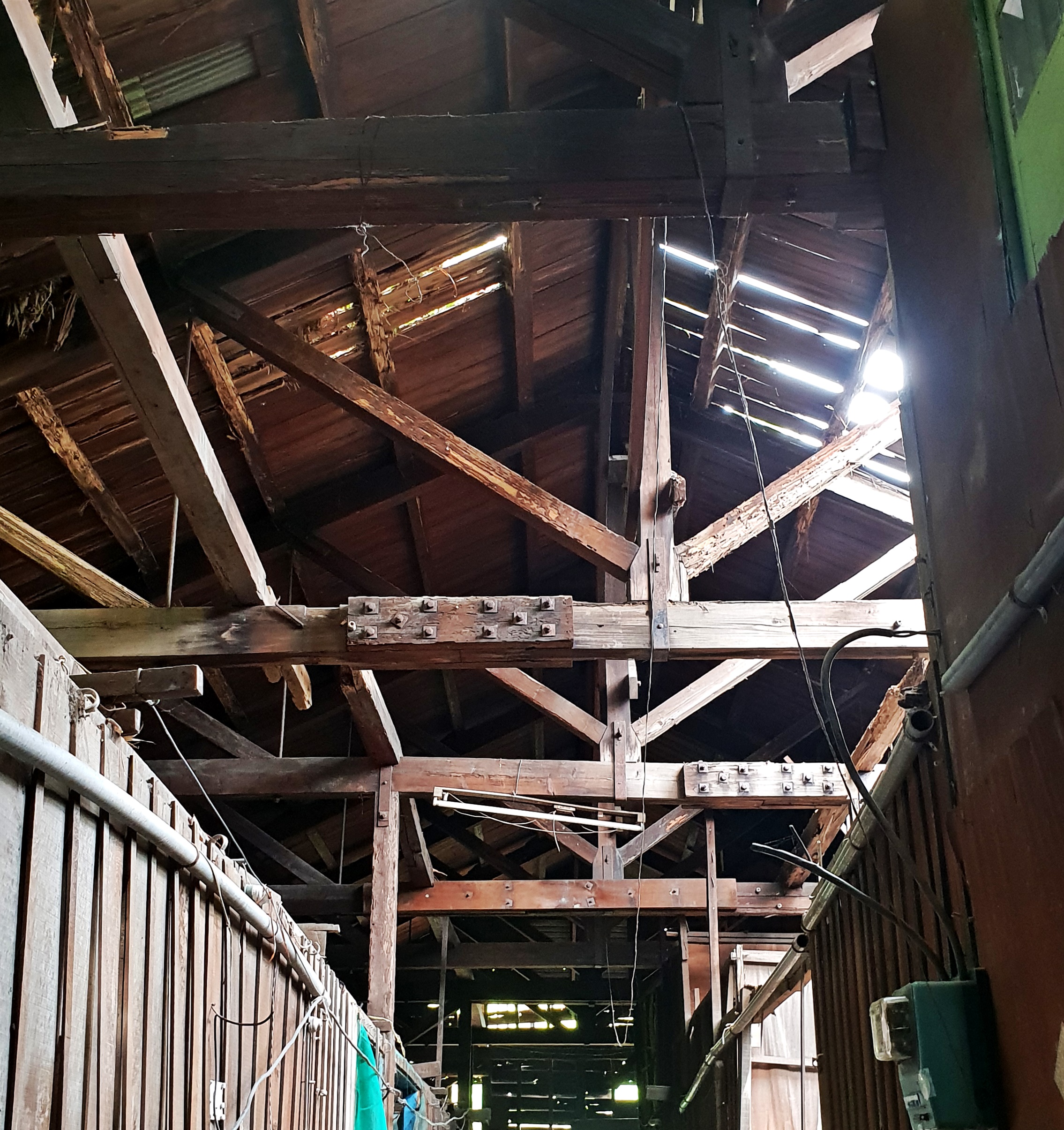 20181101_132913.jpg