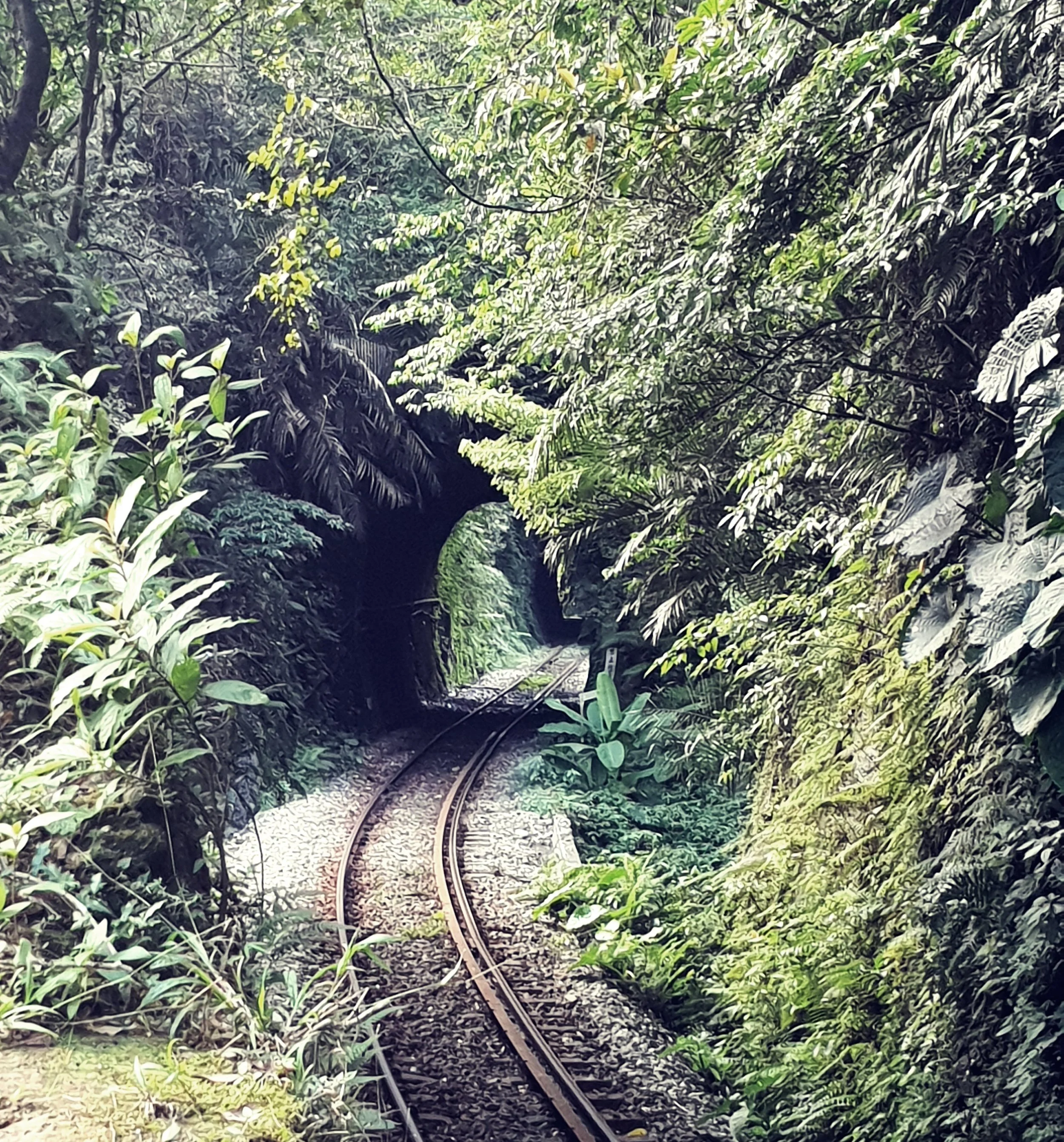 Not super wide tunnels