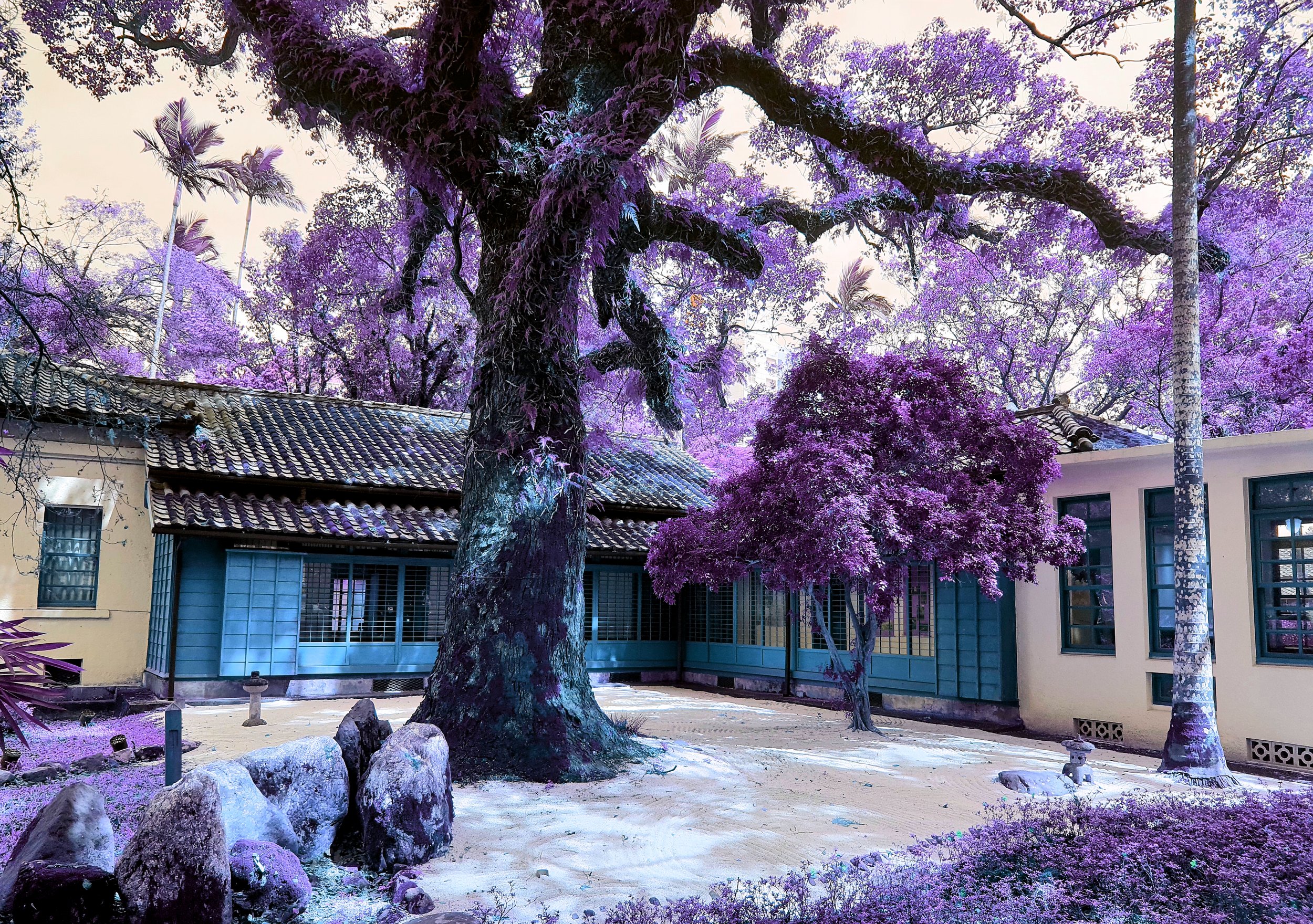 Yilan… is not quite as alien looking as this. At the Yilan Administration Museum. Normally I won’t mess around with hues but the verdant plant life made this look nice