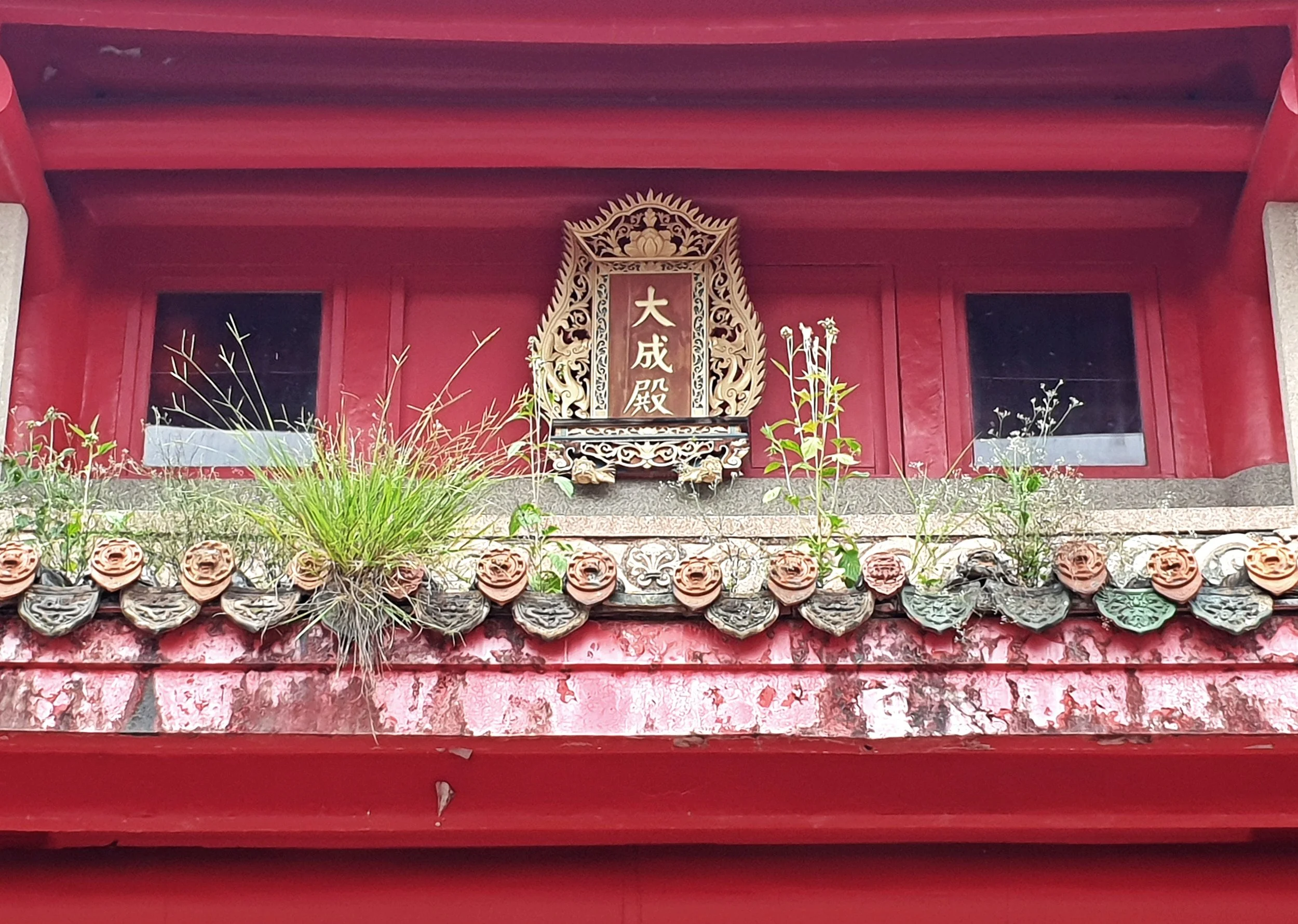 20190605_162202.jpg