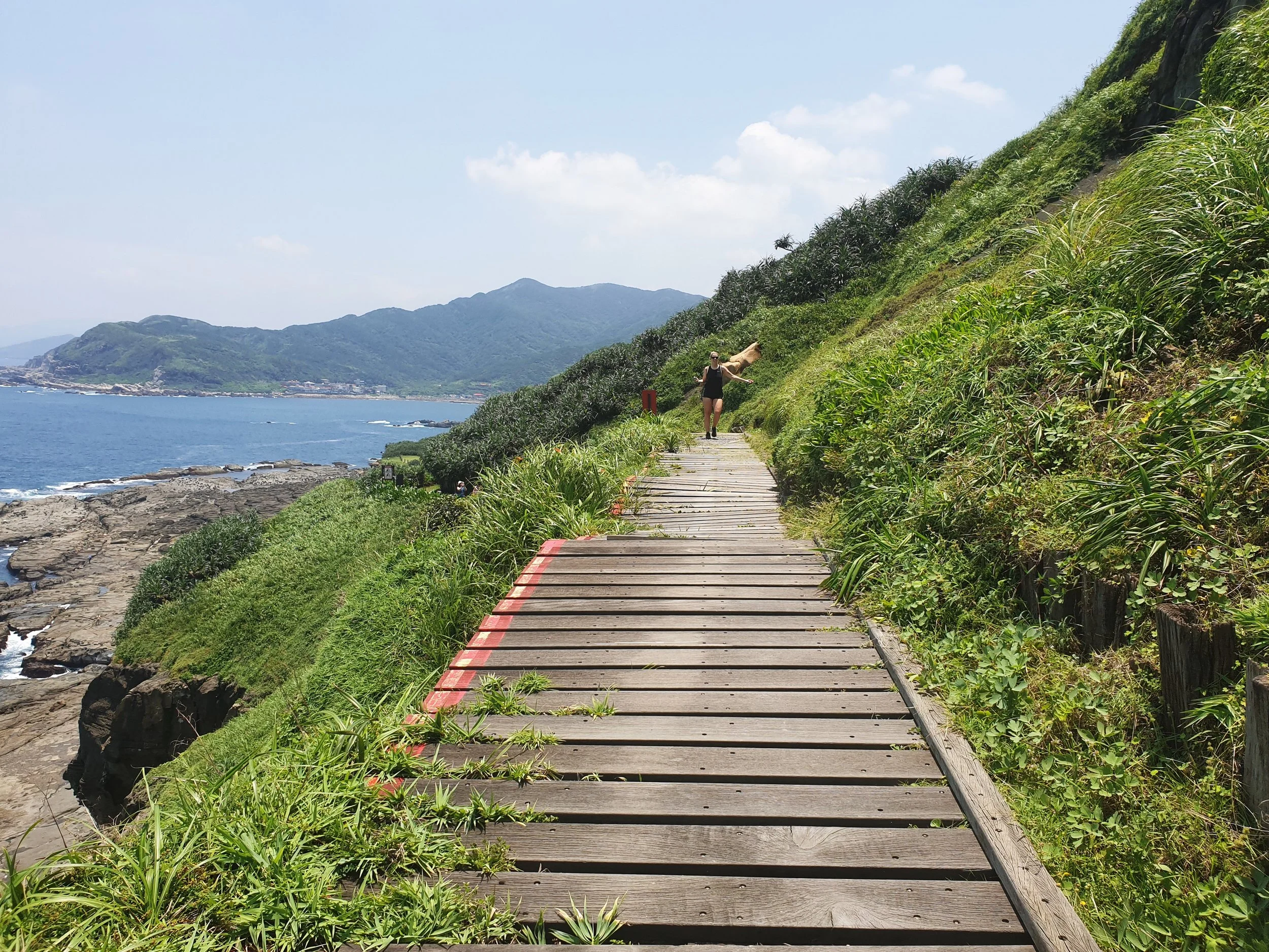 20190615_121300.jpg