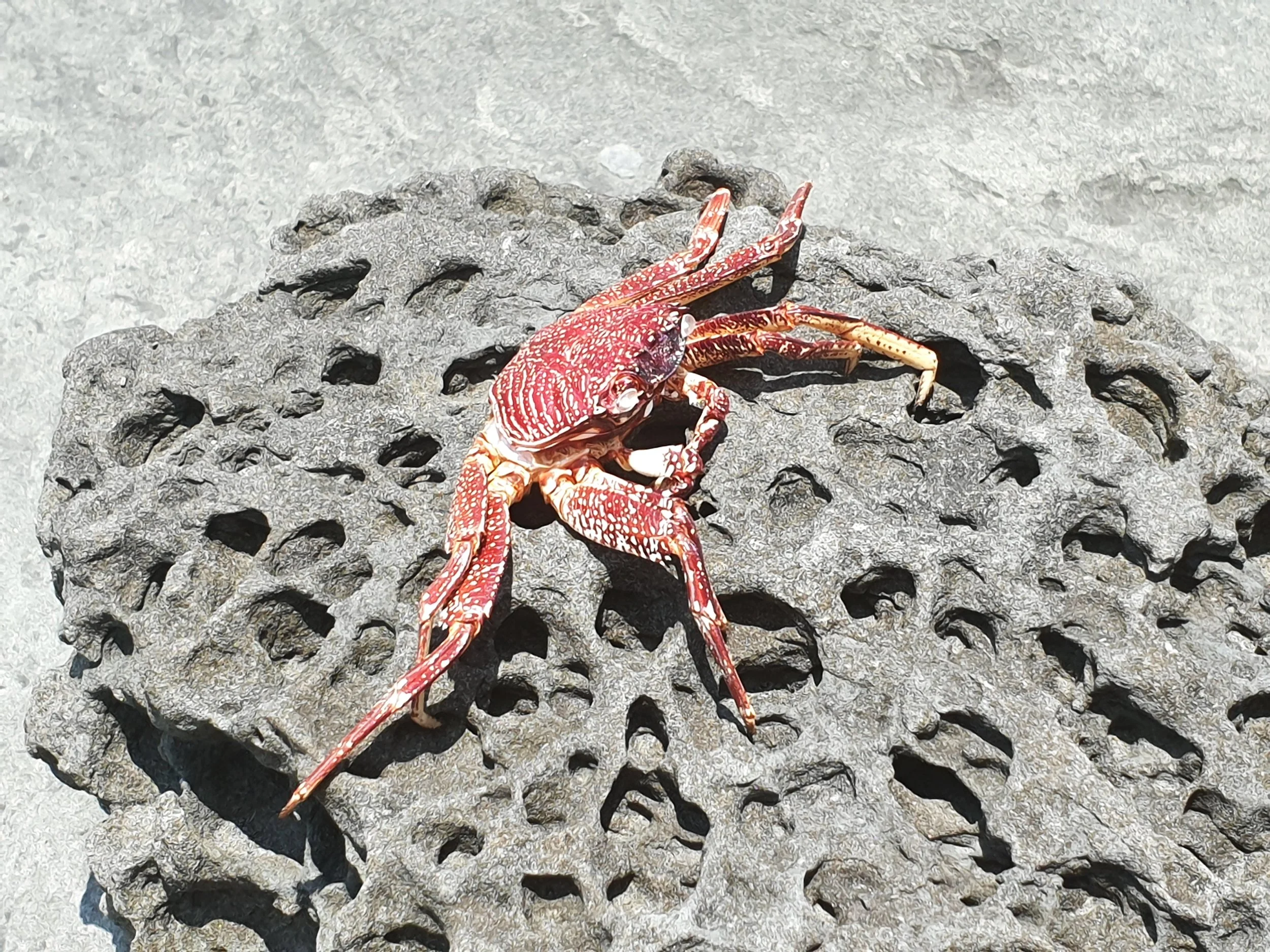 20190615_113543.jpg