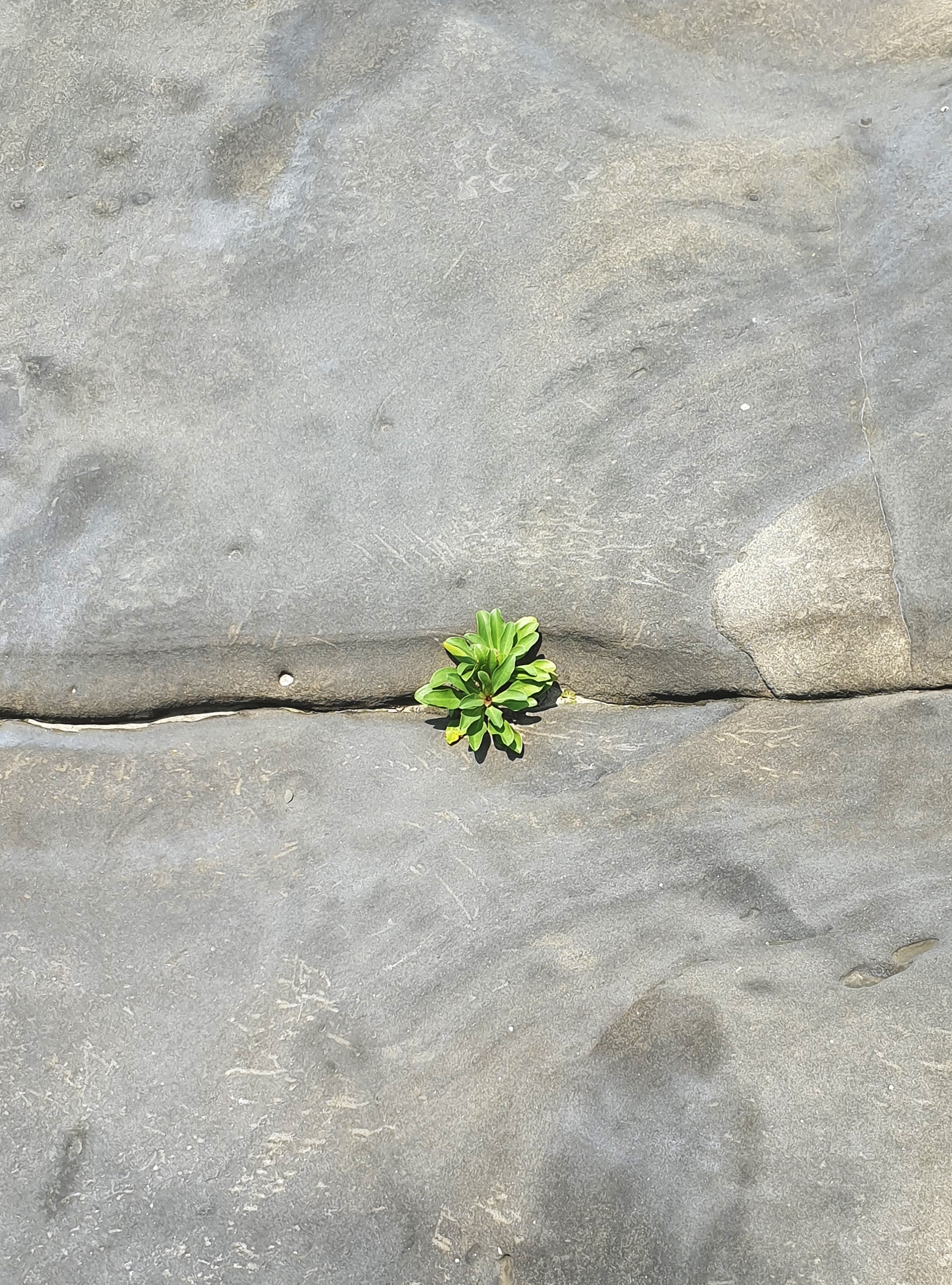 20190615_130326.jpg