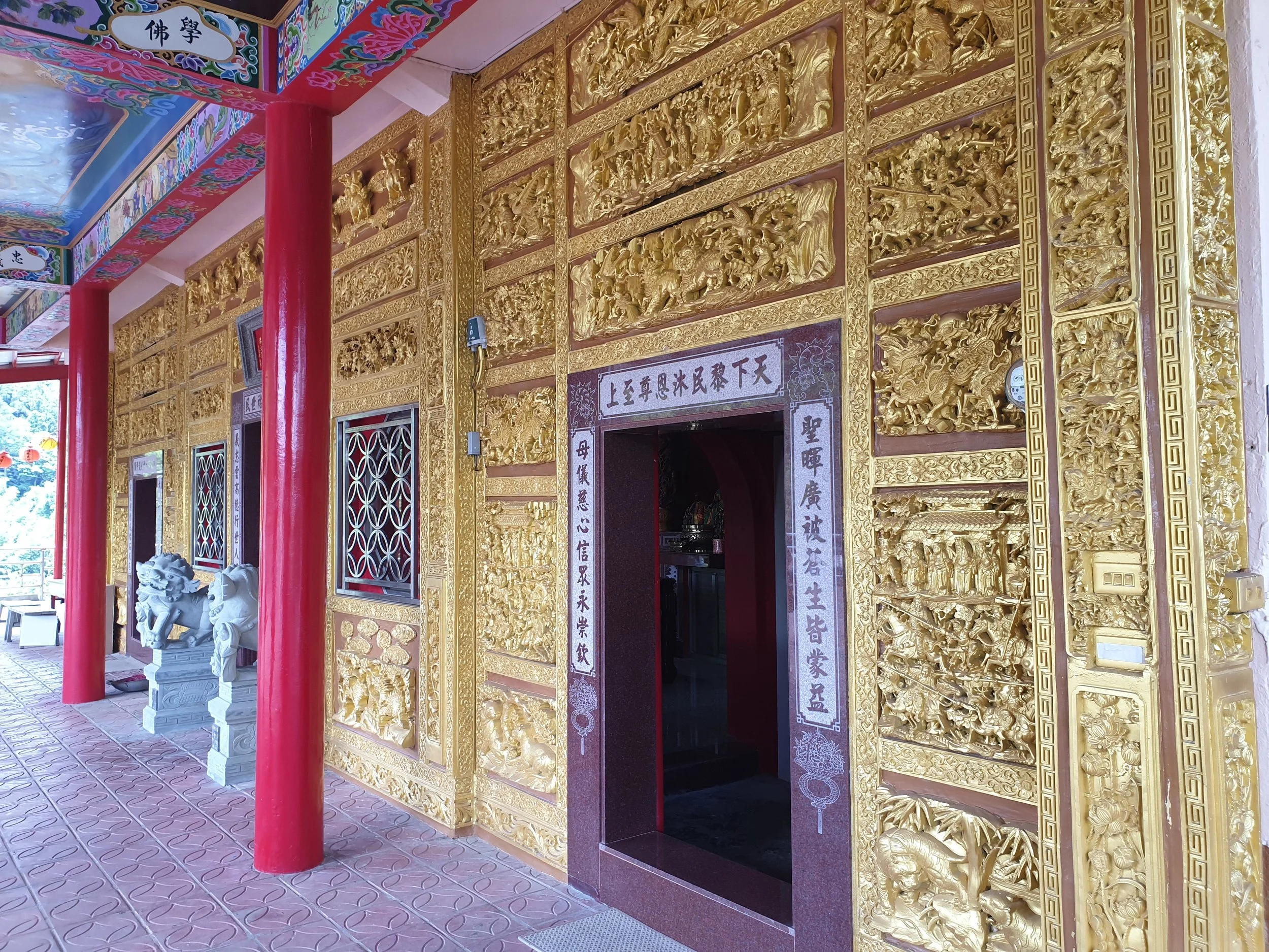 20190731_120151.jpg