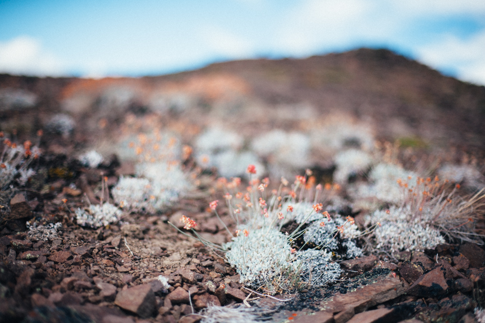 backpacking 8.24-26.13-014.jpg