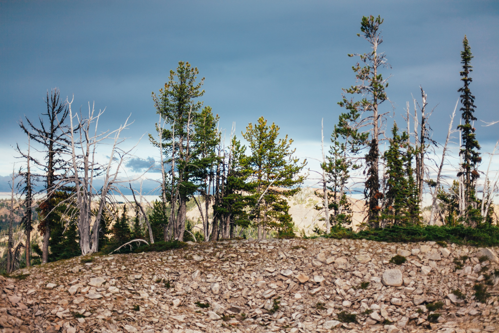 backpacking 8.24-26.13-131.jpg