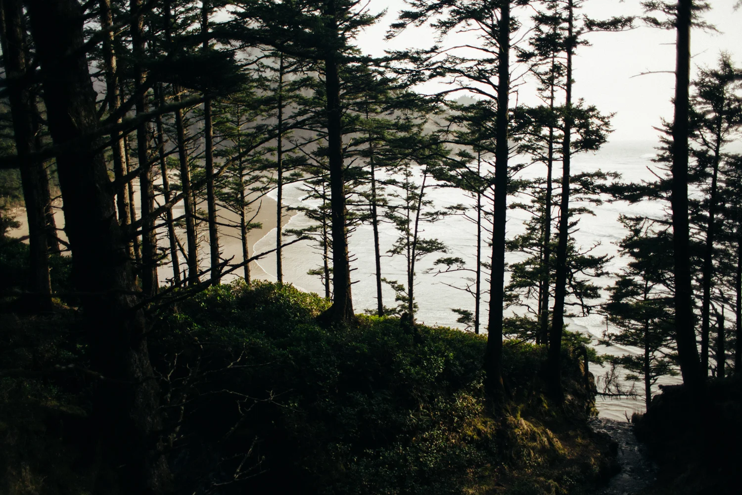 light and canon beach-falcon trail 2.2.15-154.jpg