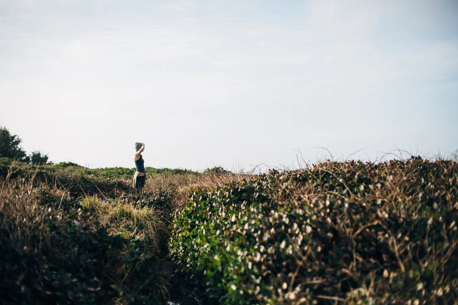 light and canon beach-falcon trail 2.2.15-202.jpg