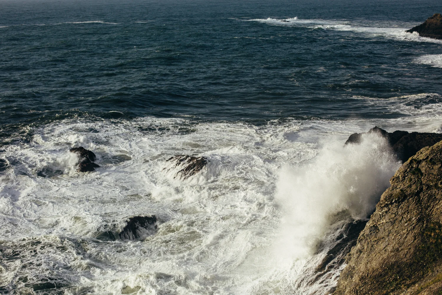 light and canon beach-falcon trail 2.2.15-266.jpg