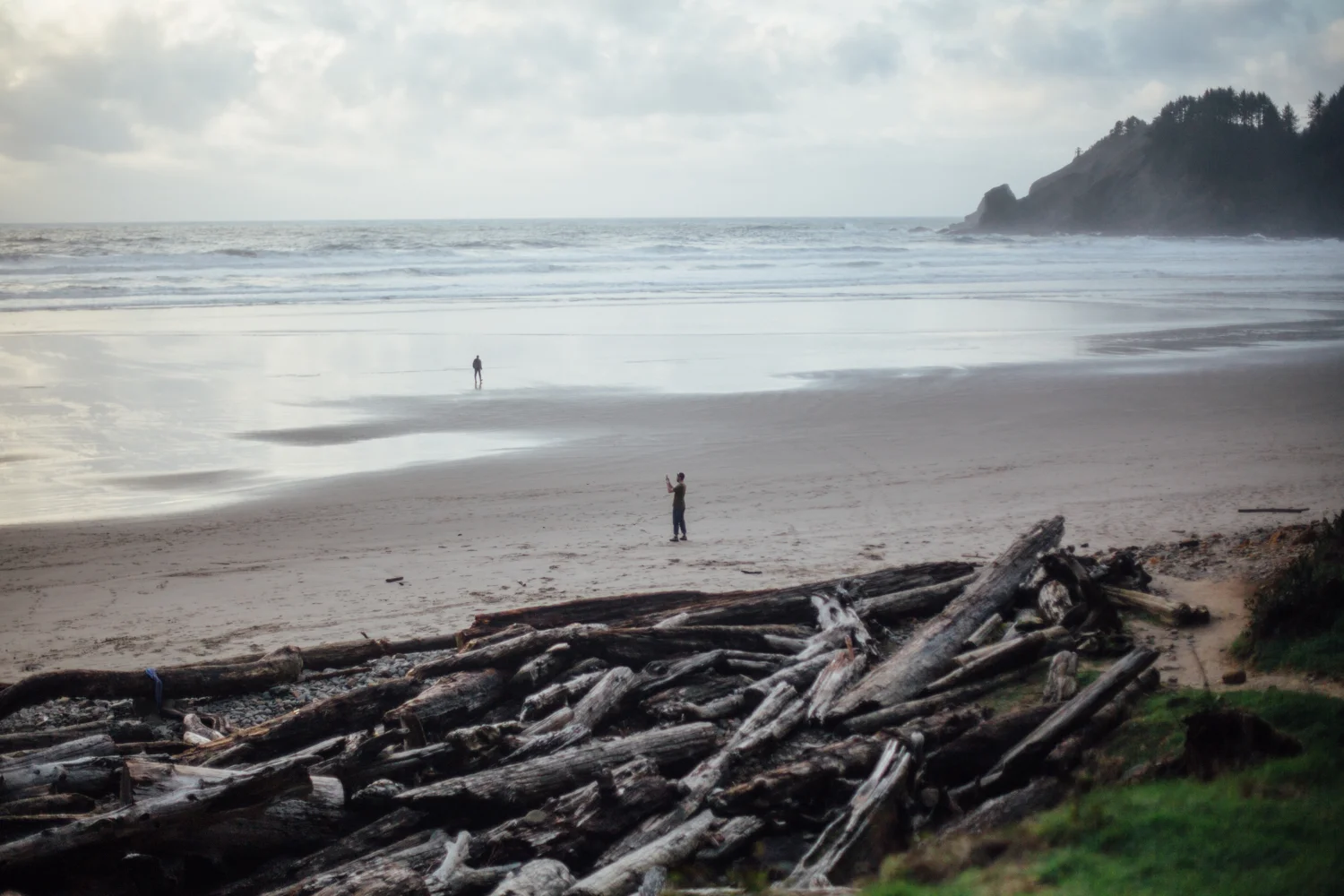 light and canon beach-falcon trail 2.2.15-358.jpg