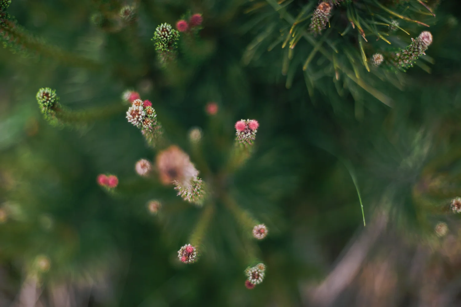 long beach 5.15.15-149.jpg