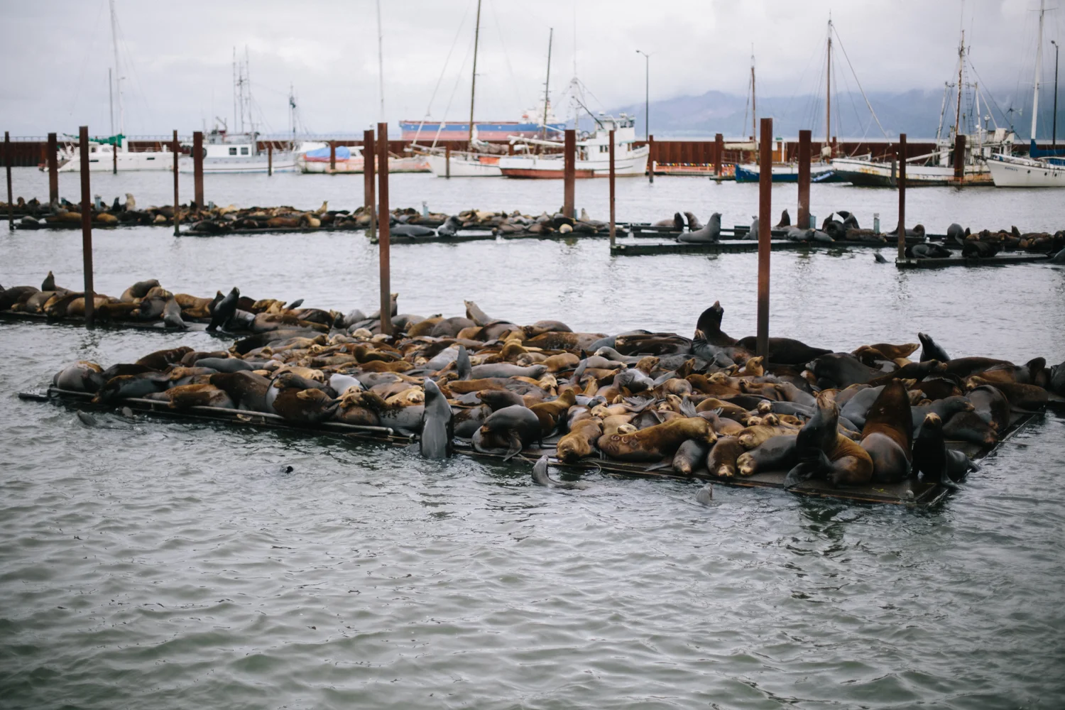long beach 5.15.15-187.jpg