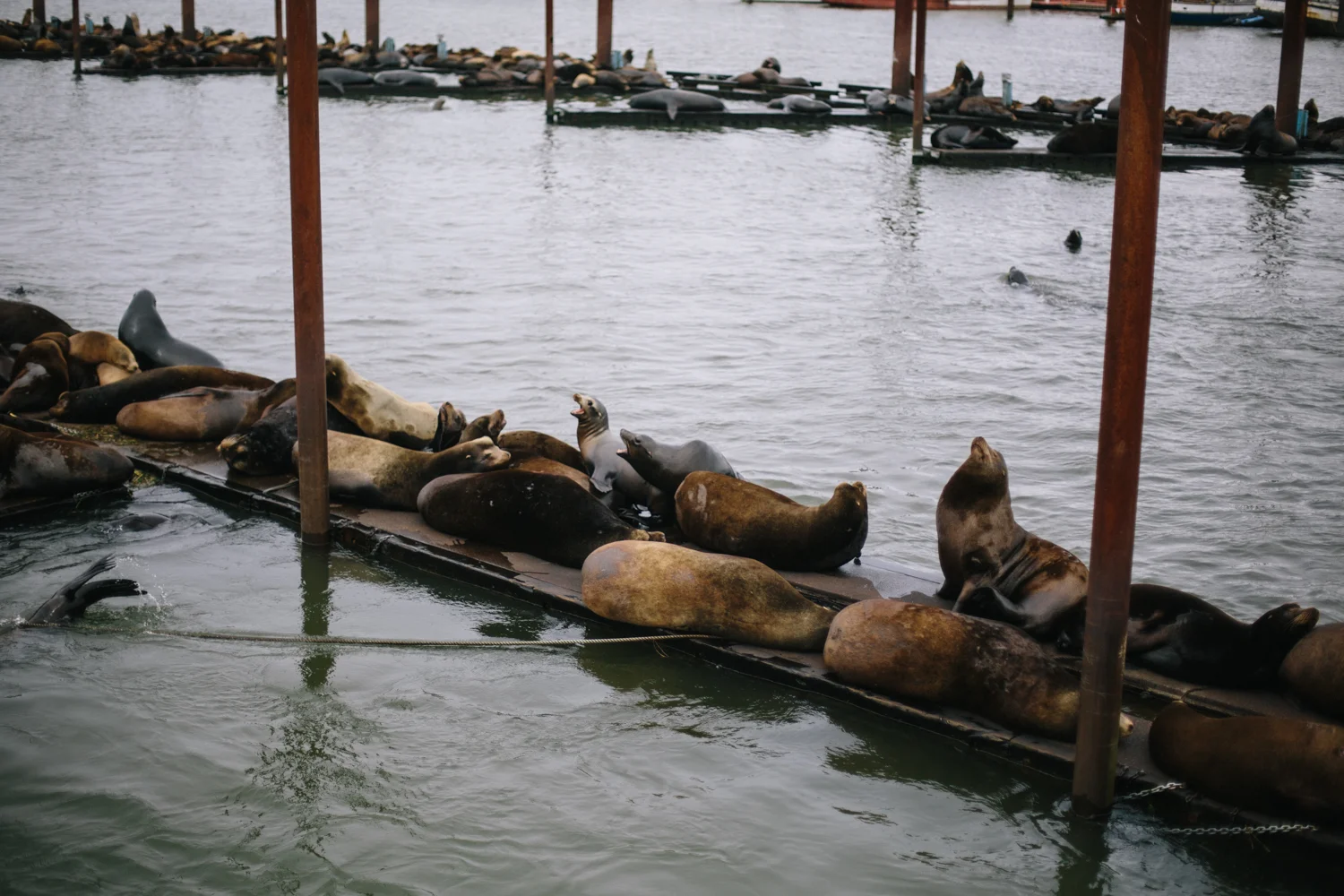 long beach 5.15.15-196.jpg
