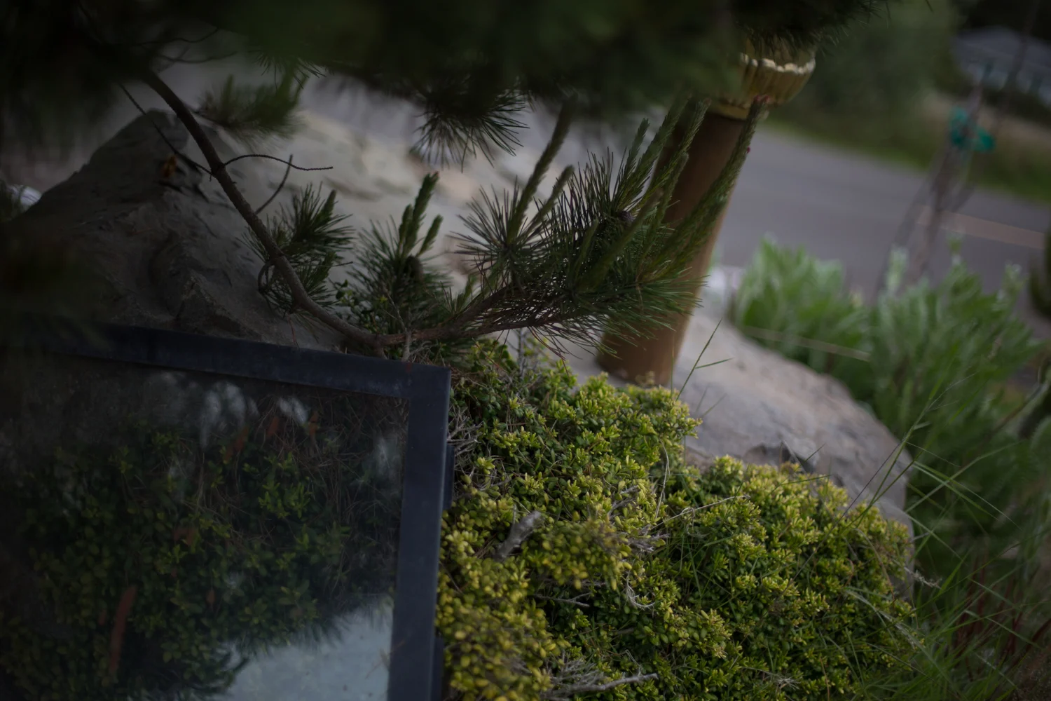 long beach 5.15.15-452.jpg