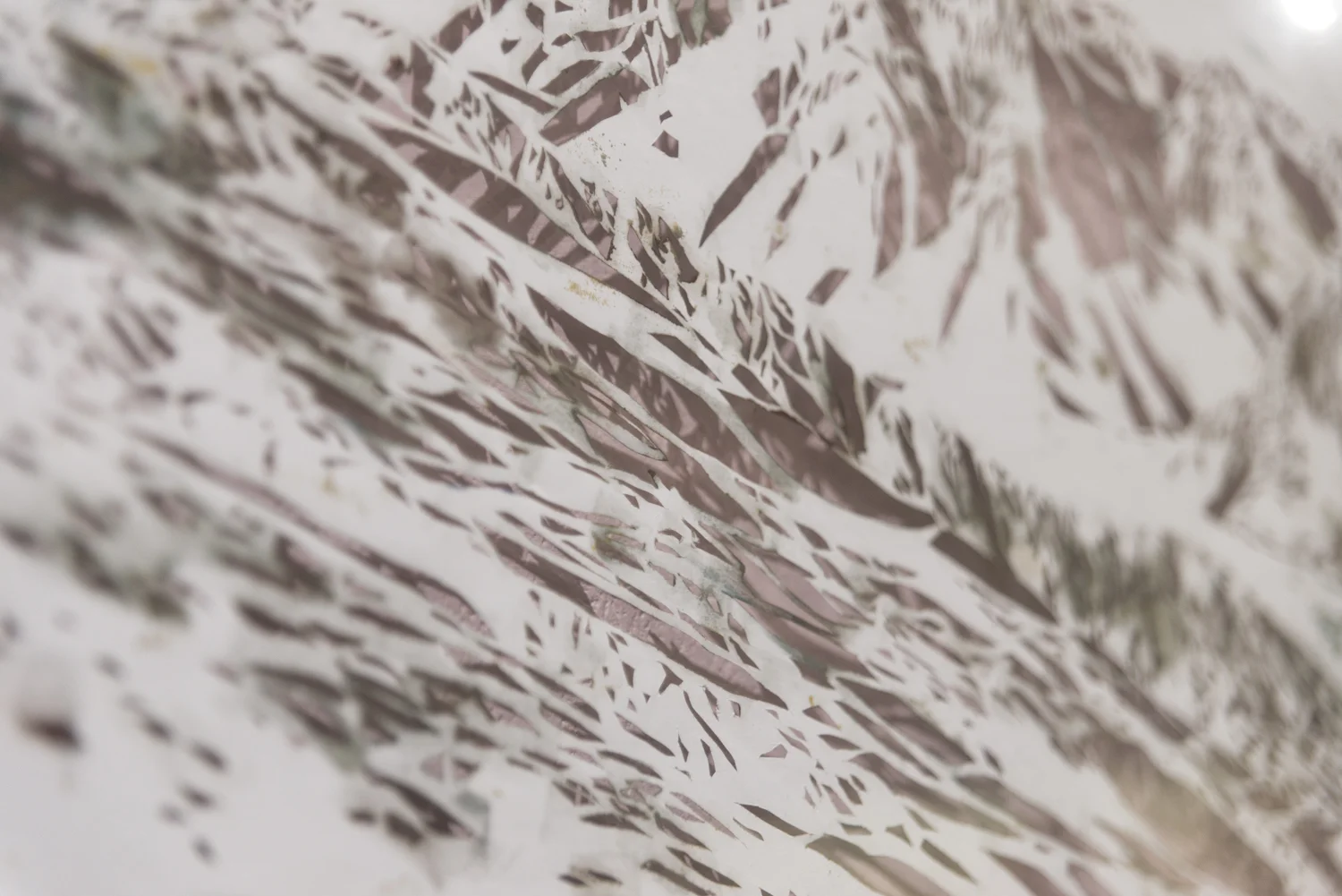 TH_20180518_251.jpg